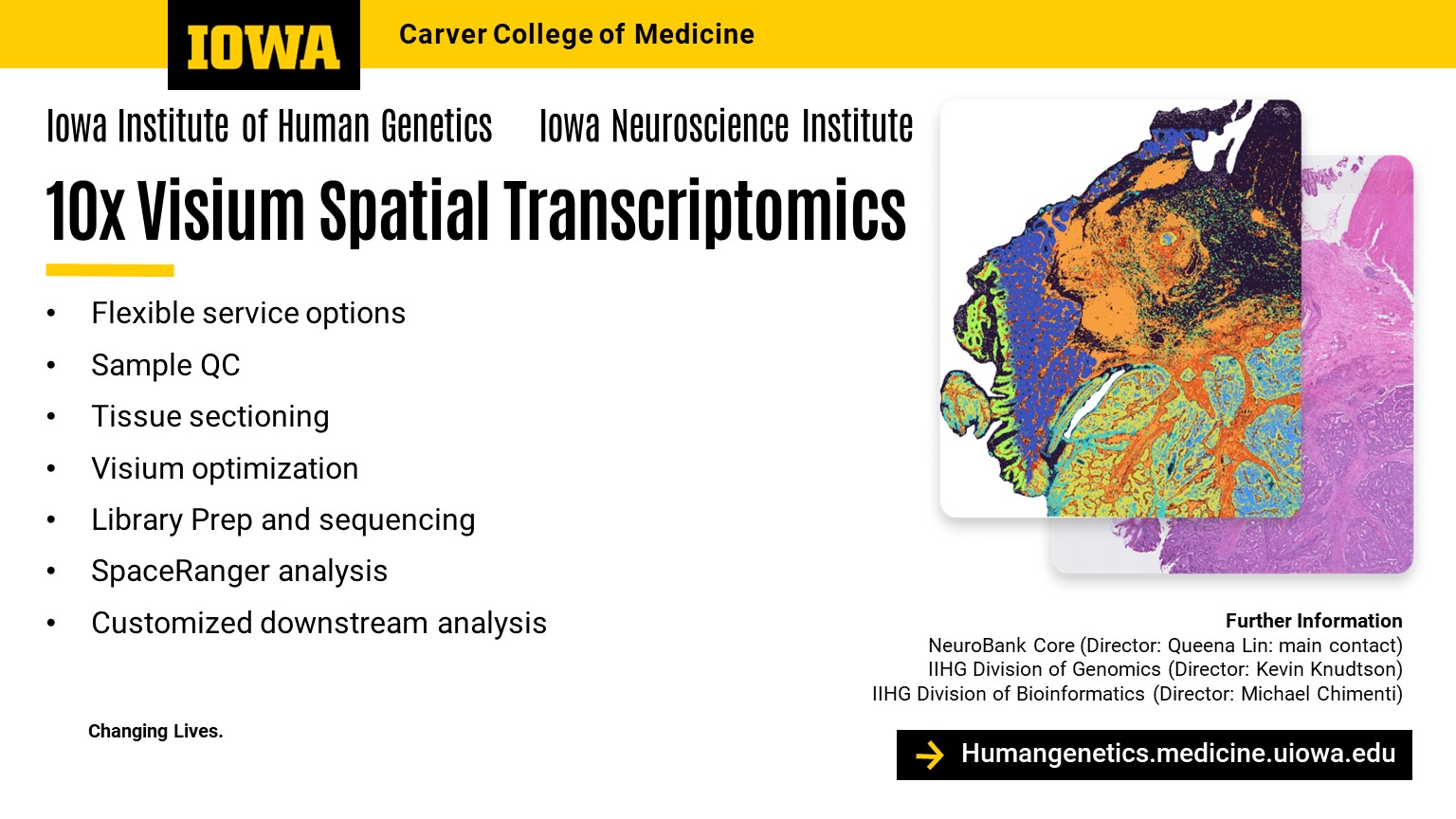 10X Genomics Slide