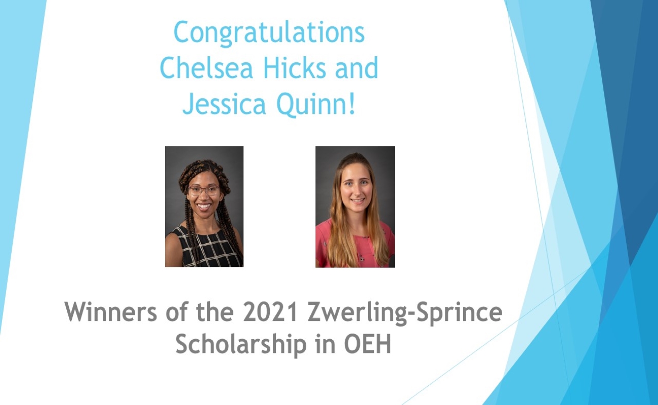 2021 Zwerling-Sprince Award