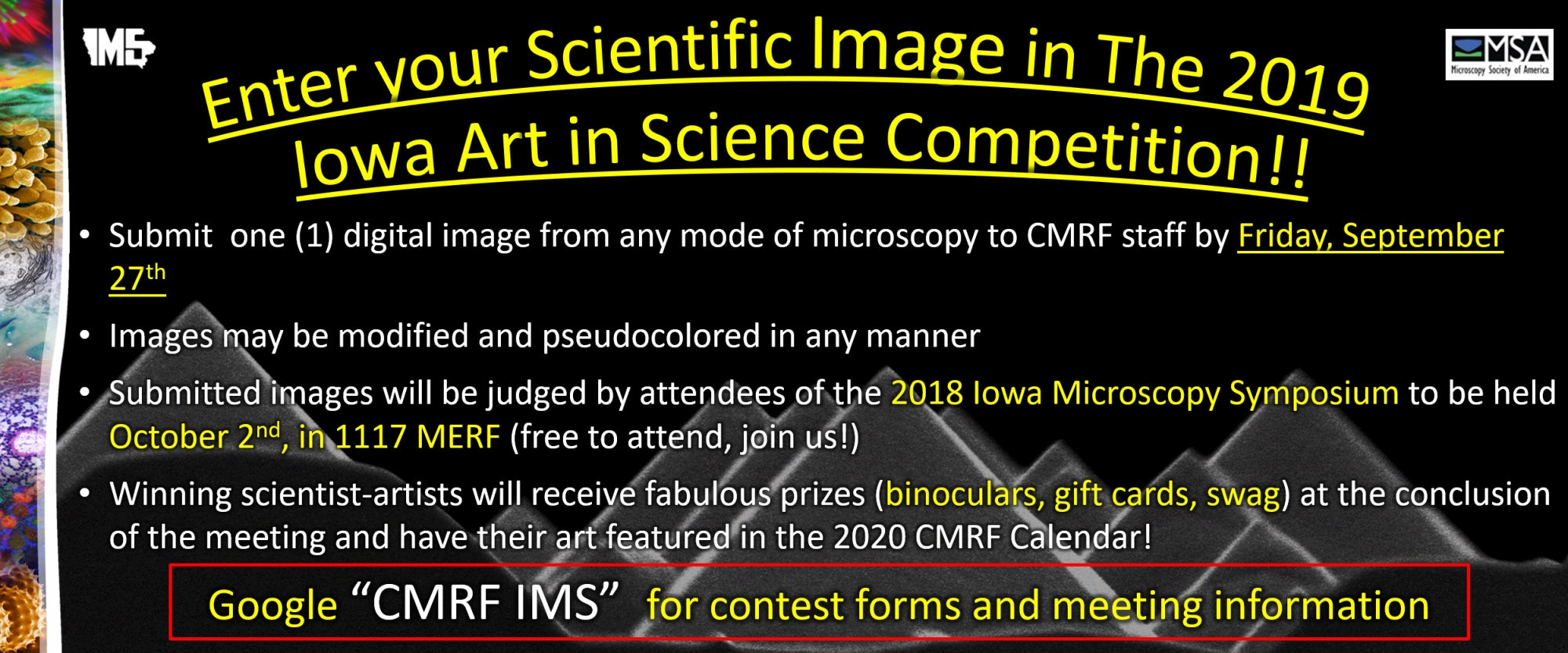 Art in Science Contest