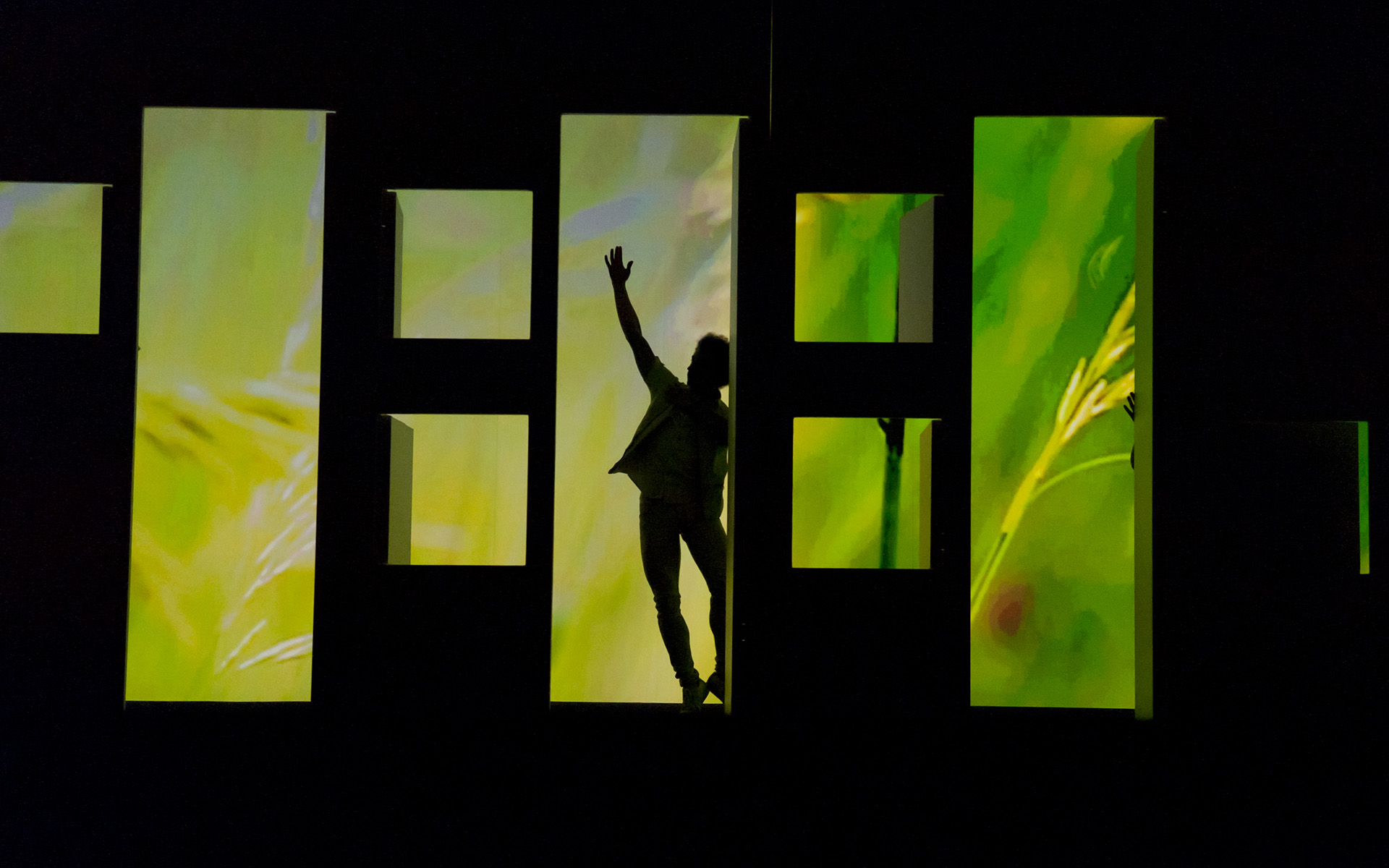 Dance Gala 2017 photo. Male dancer in silhouette dancing in the doorway, bright green background.