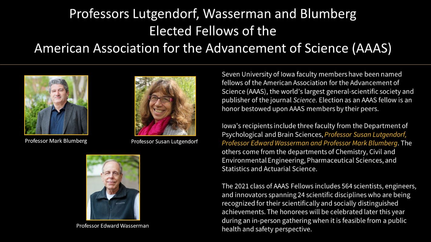 AAAS Faculty Fellows Blumberg, Lutgendorf and Wasserman, photos from PBS, Spring, 2022