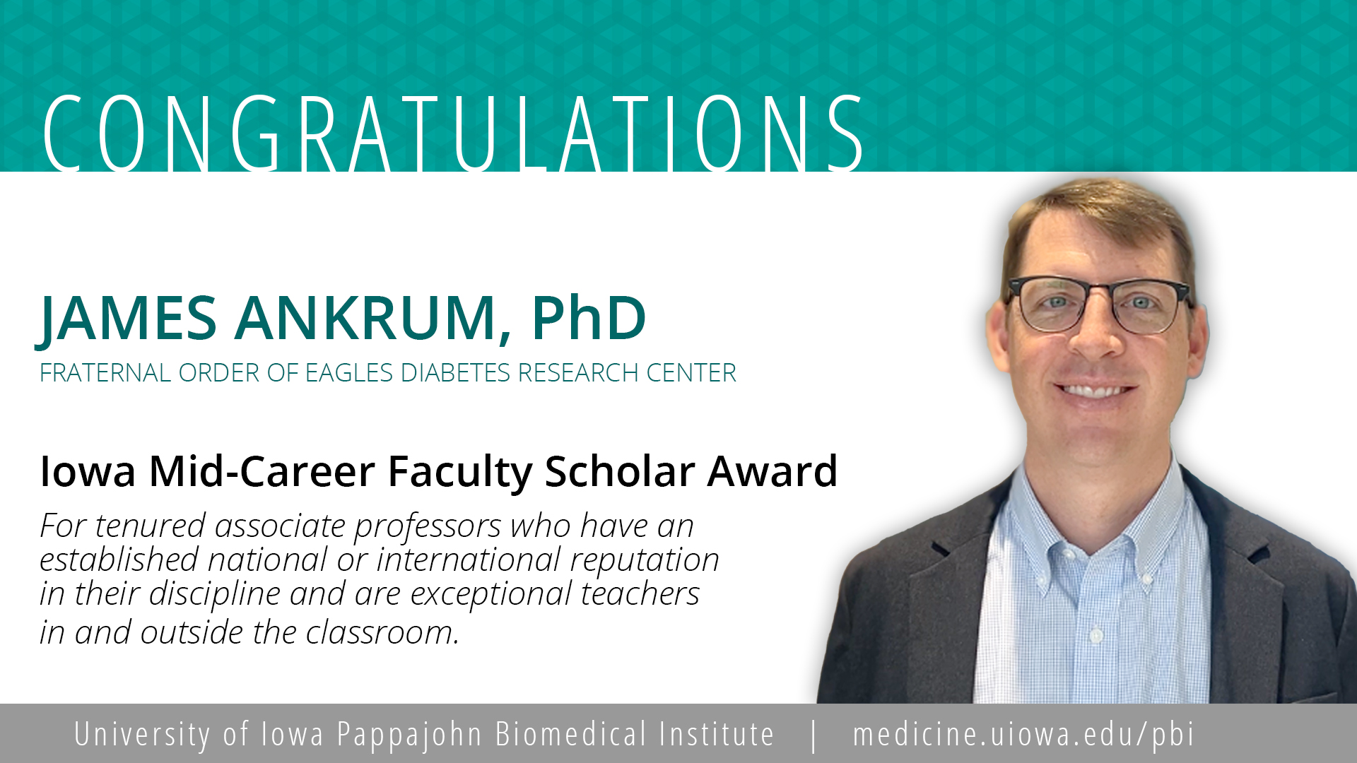 Ankrum mid-career faculty scholar award 