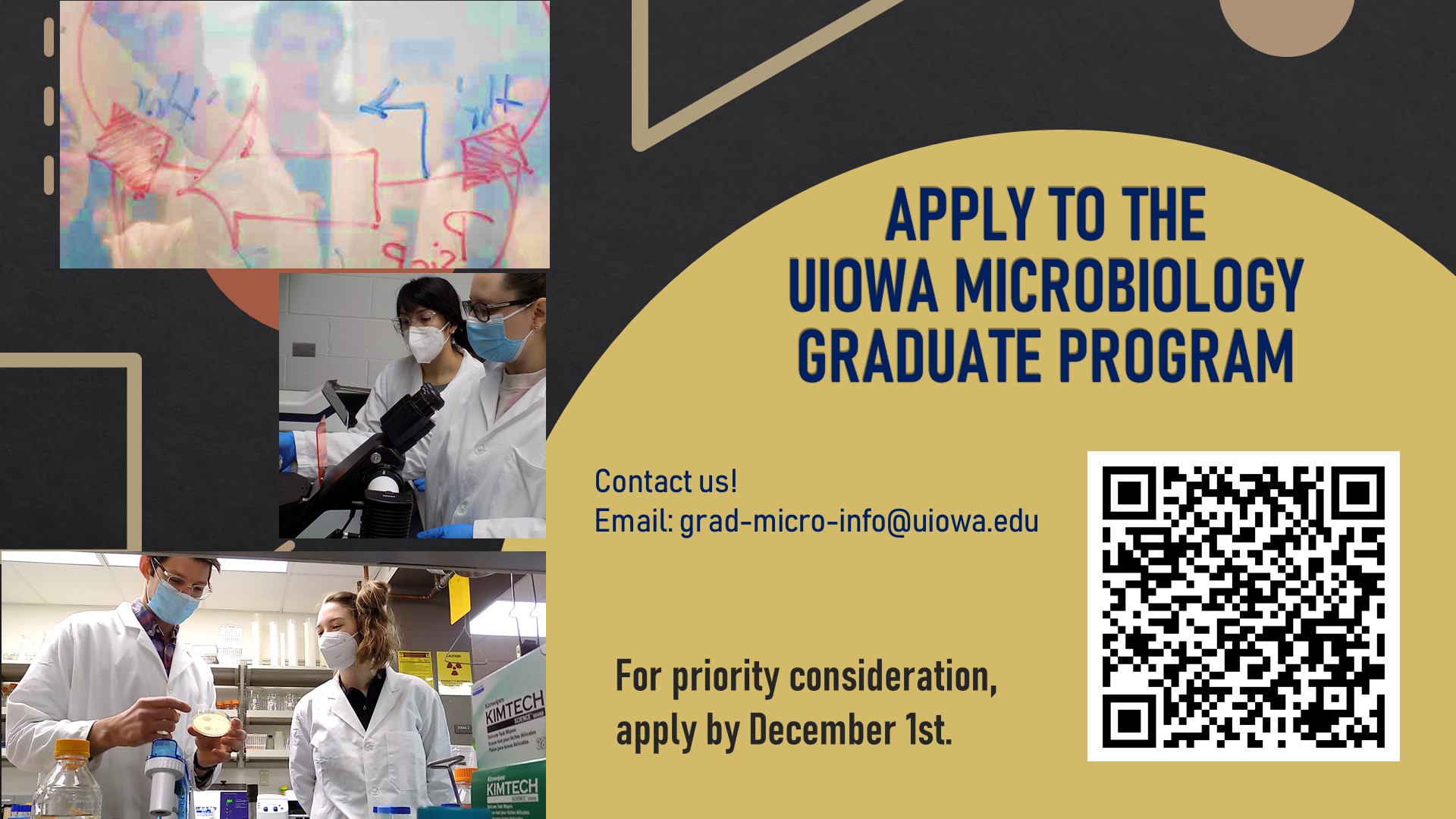 Apply to the UIOWA Microbiology Graduate Program