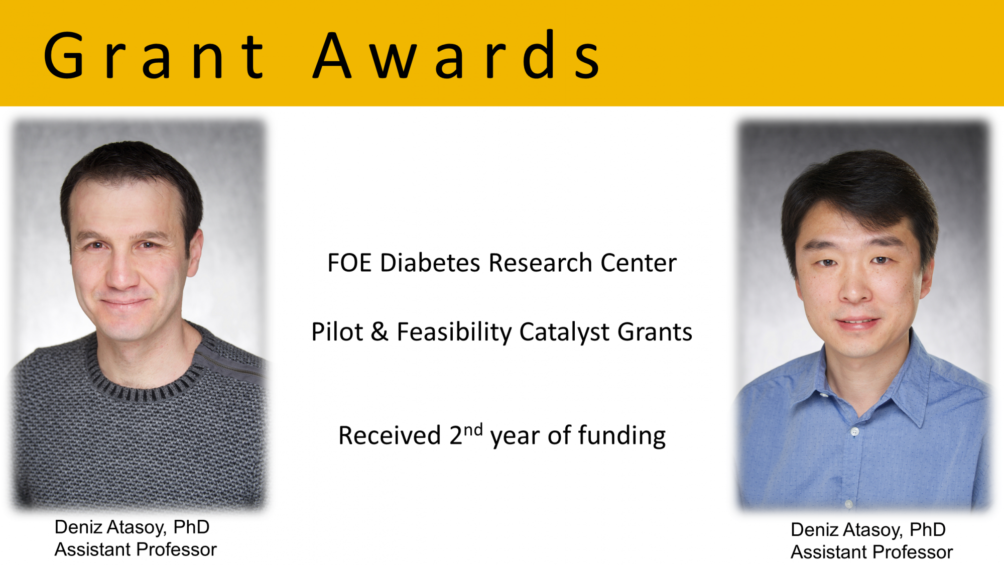 Atasoy and Cui - FOEDRC pilot awards (2nd yr funding)