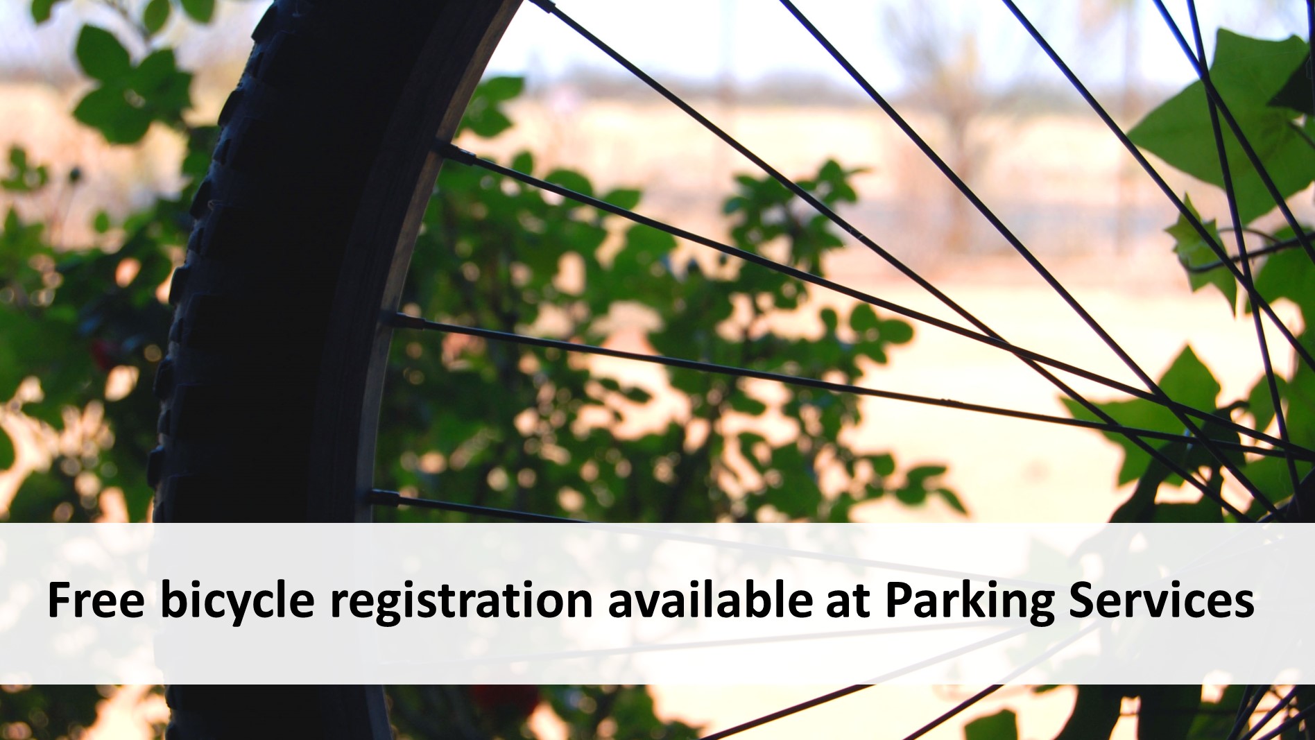 Free bicycle registration at Parking Services