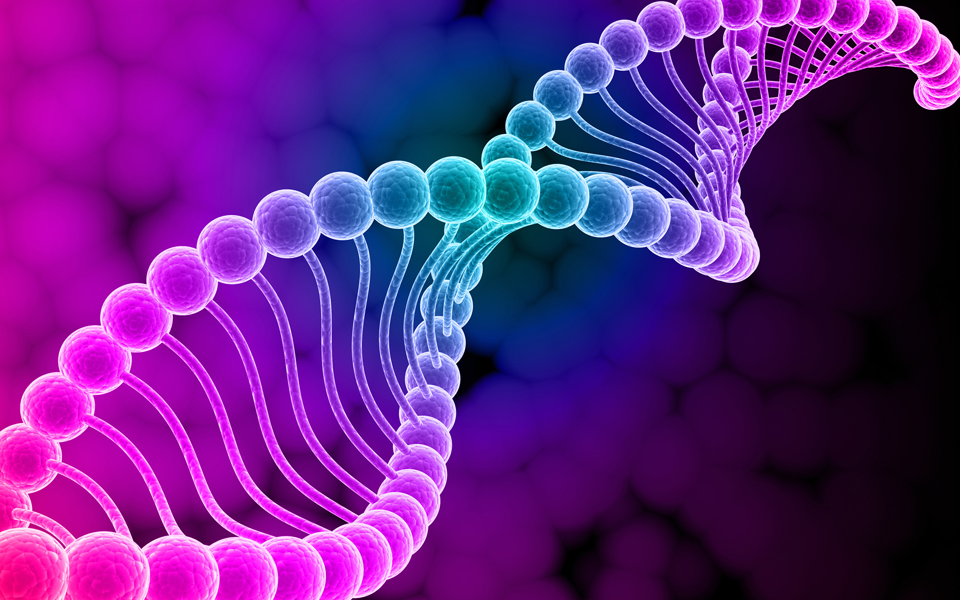 The double helix structure of DNA.
