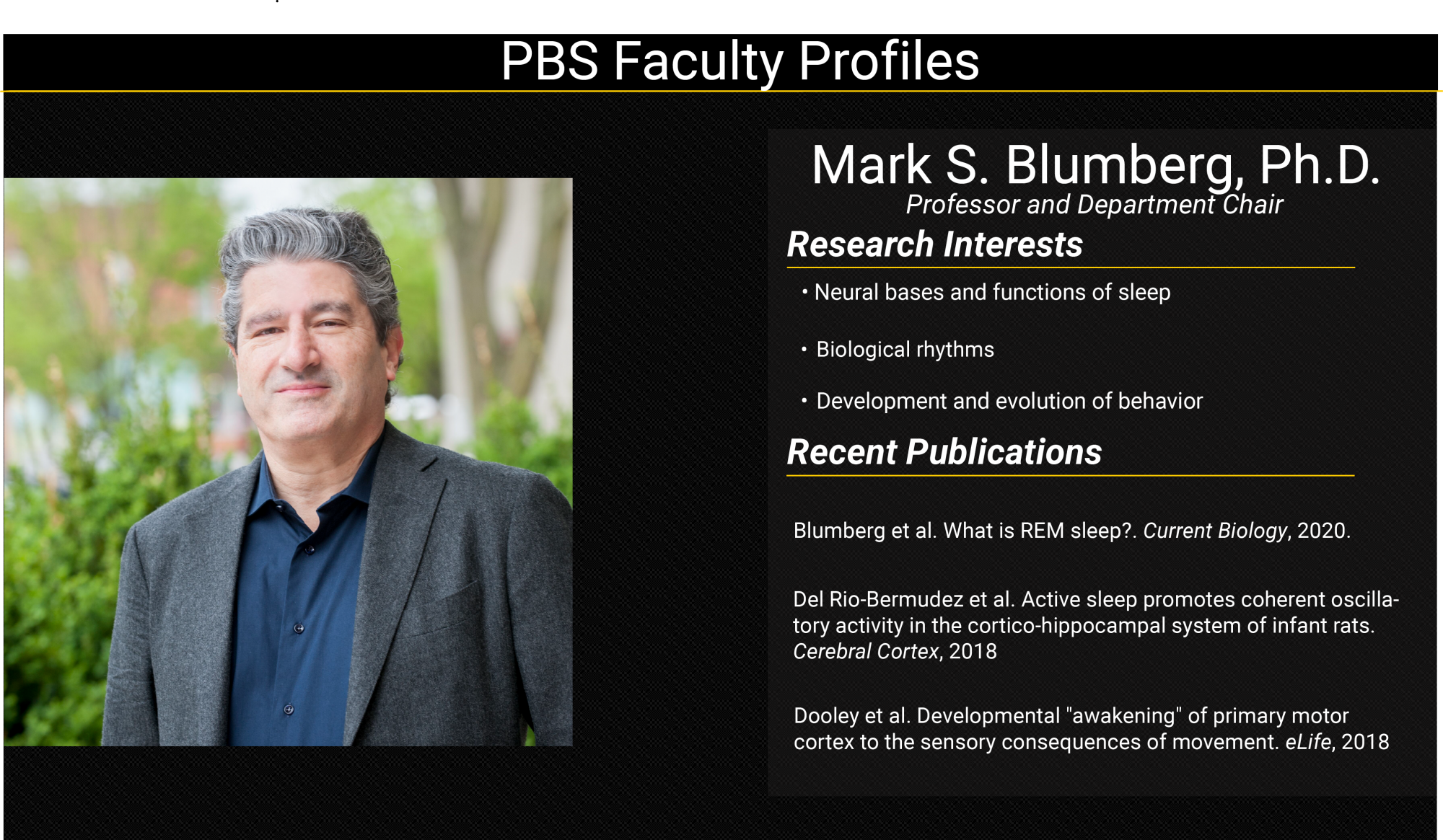 Mark Blumberg Faculty Profile