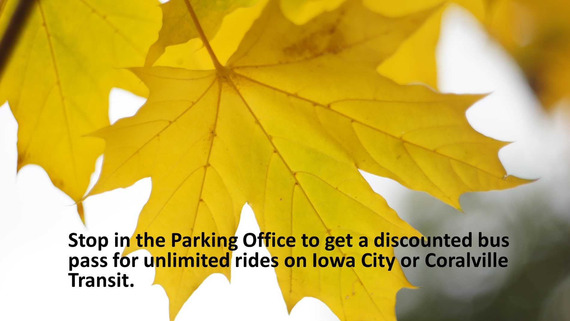Get discounted bus passes in the Parking Office