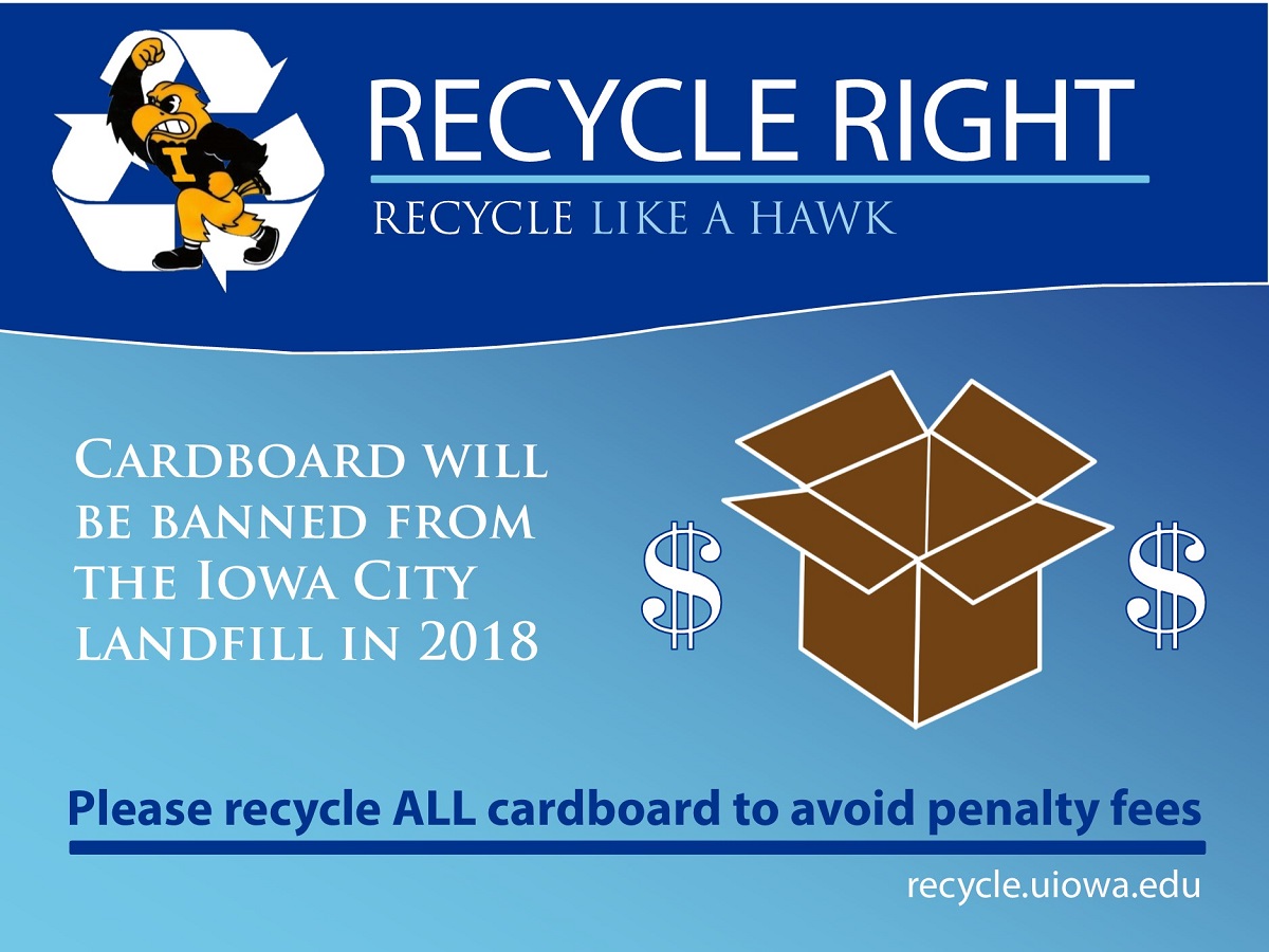 Cardboard Ban