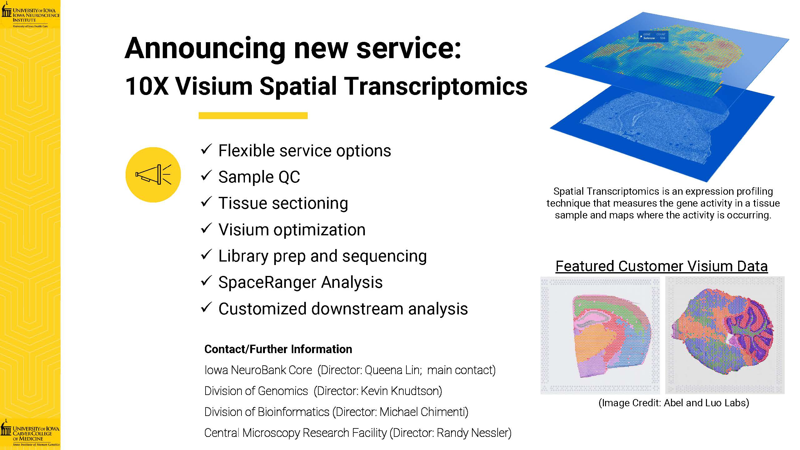 Visium Spatial Transcriptomics