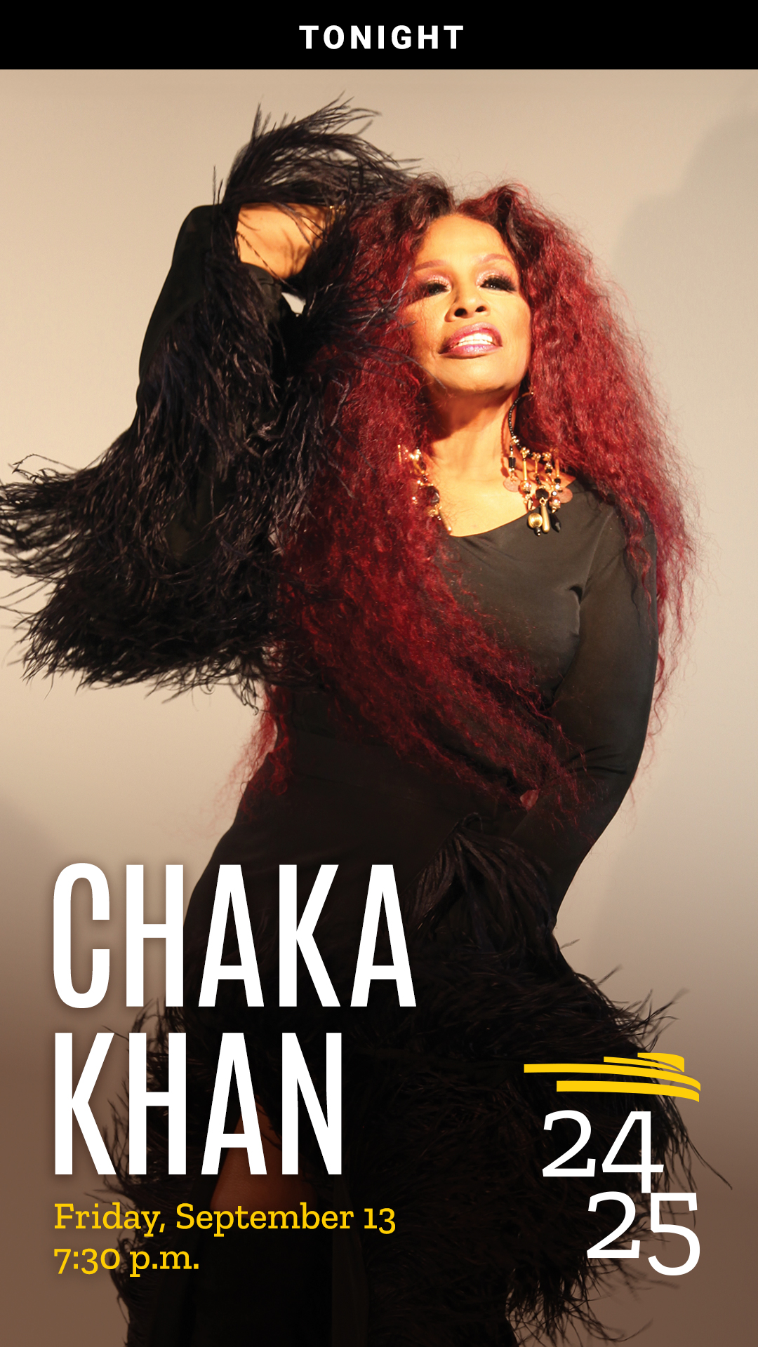 Chaka Khan - tonight