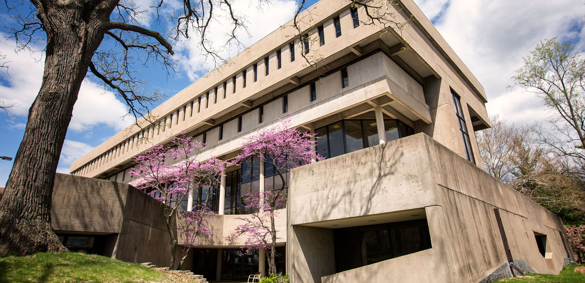 Nursing Building in the spring