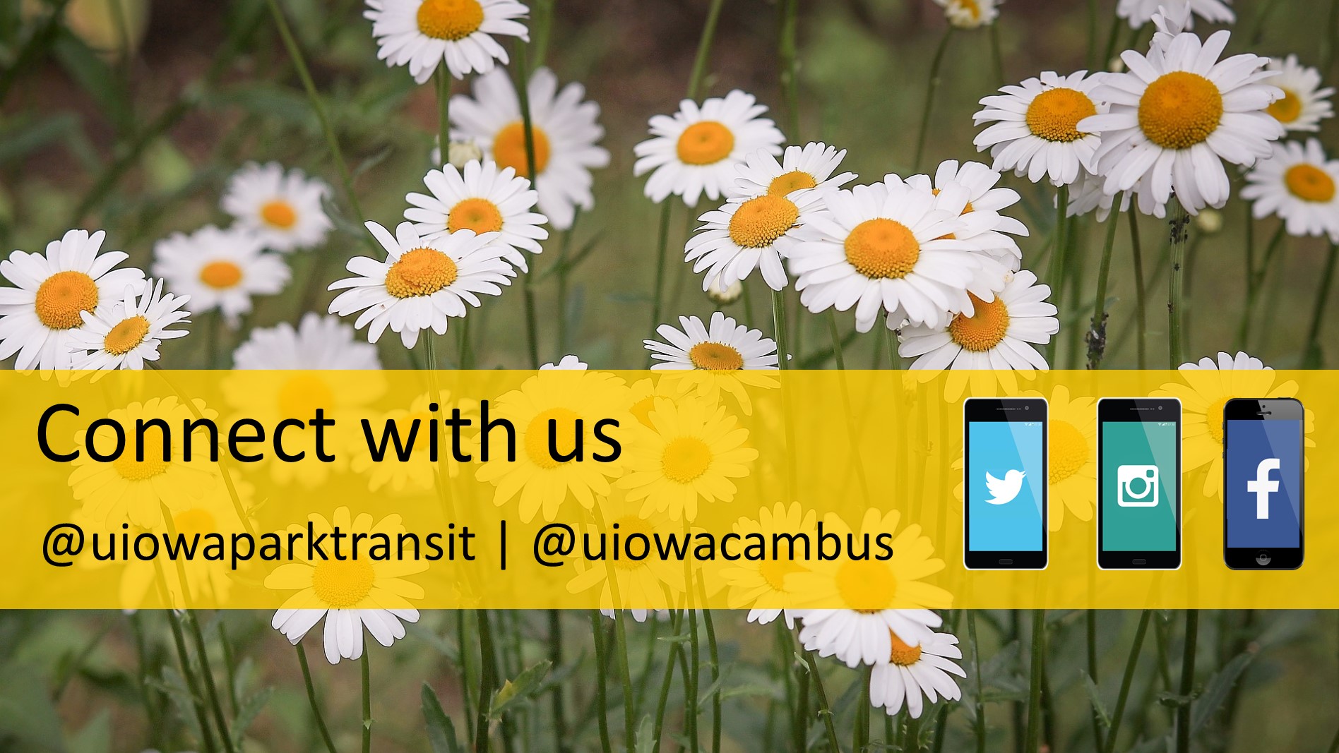 social media channels @uiowaparktransit and @uiowacambus