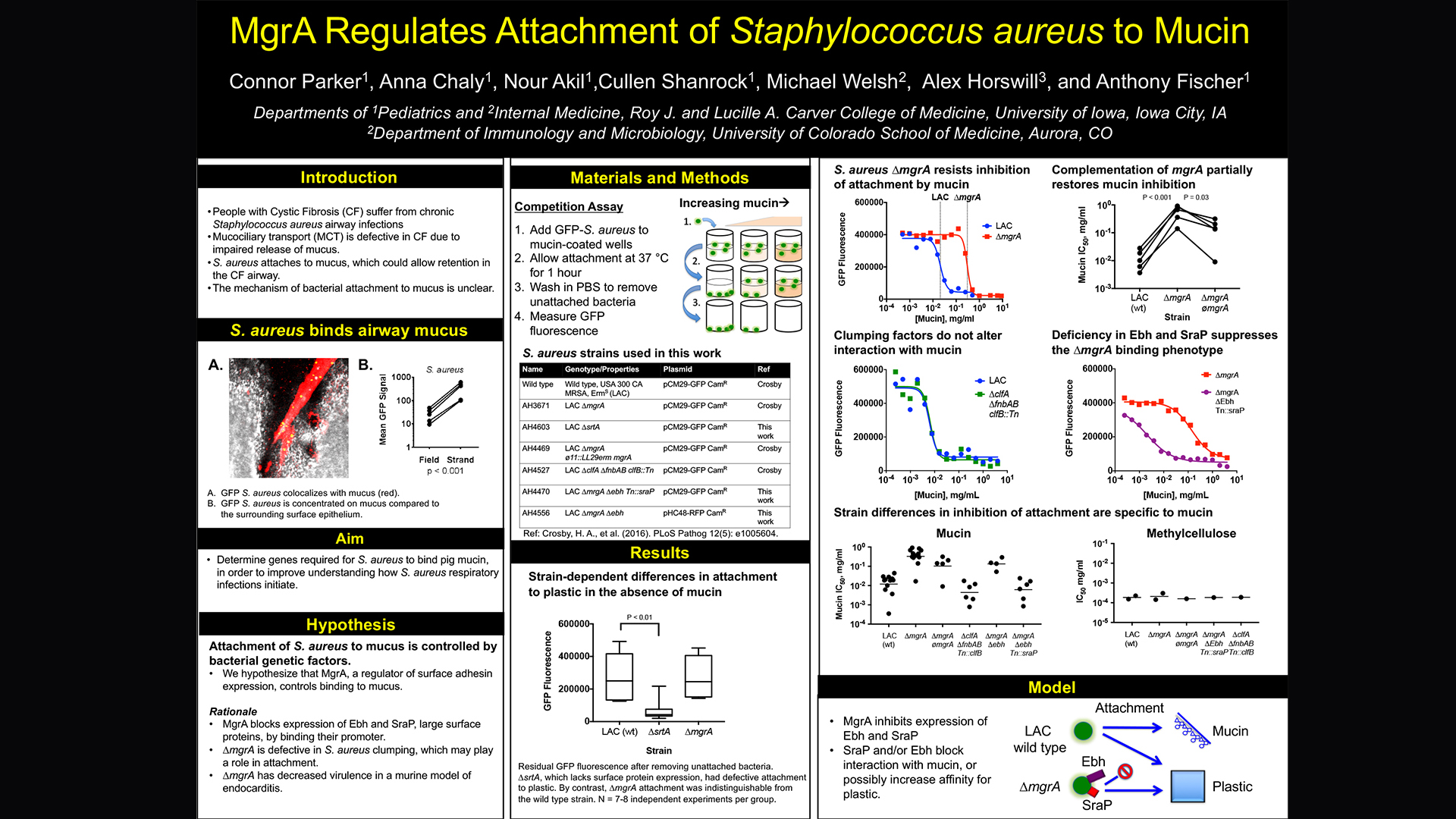 Parker: MgrA regulates attachment of Staphylococcus aureus to mucin