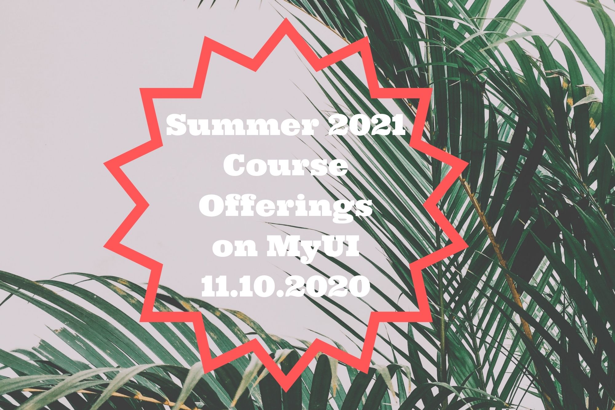Summer courses on MyUI