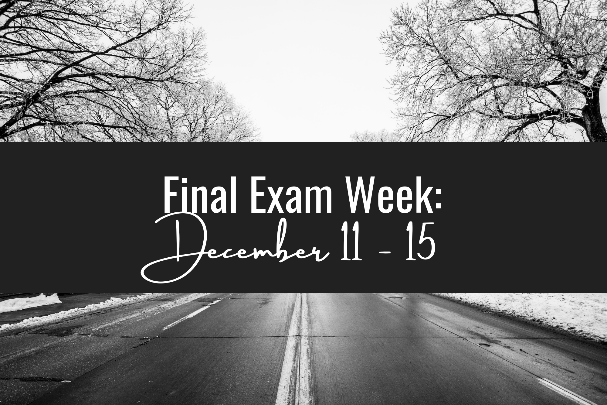 Final Exam week Dec. 11-15  with blk&white photo of road and trees