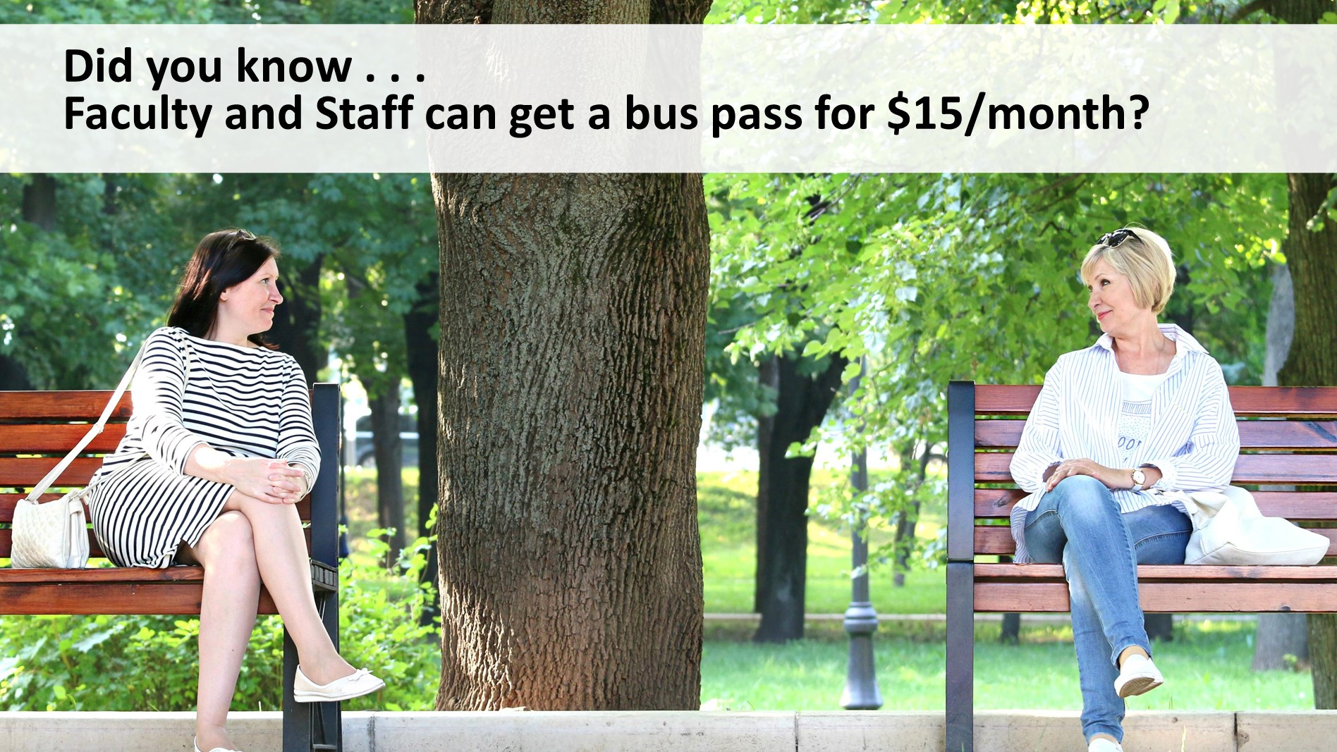 Employe bus pass for $15 per month