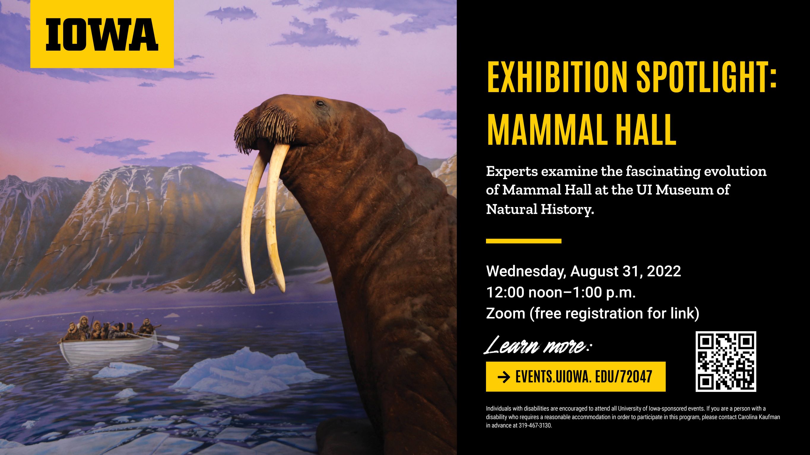 Exhibition Spotlight: Mammal Hall