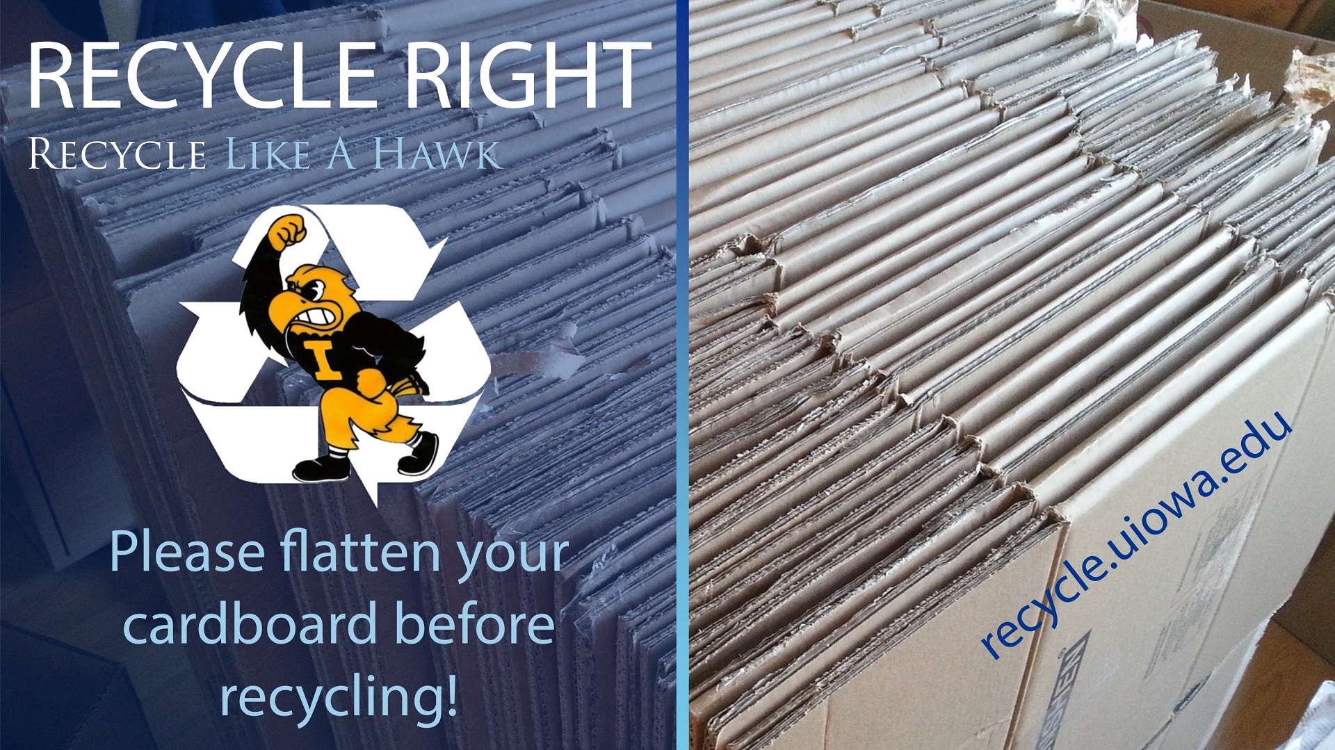 Recycle right. Recycle like a Hawk. Please flatten your cardboard before recycling. recycle.uiowa.edu