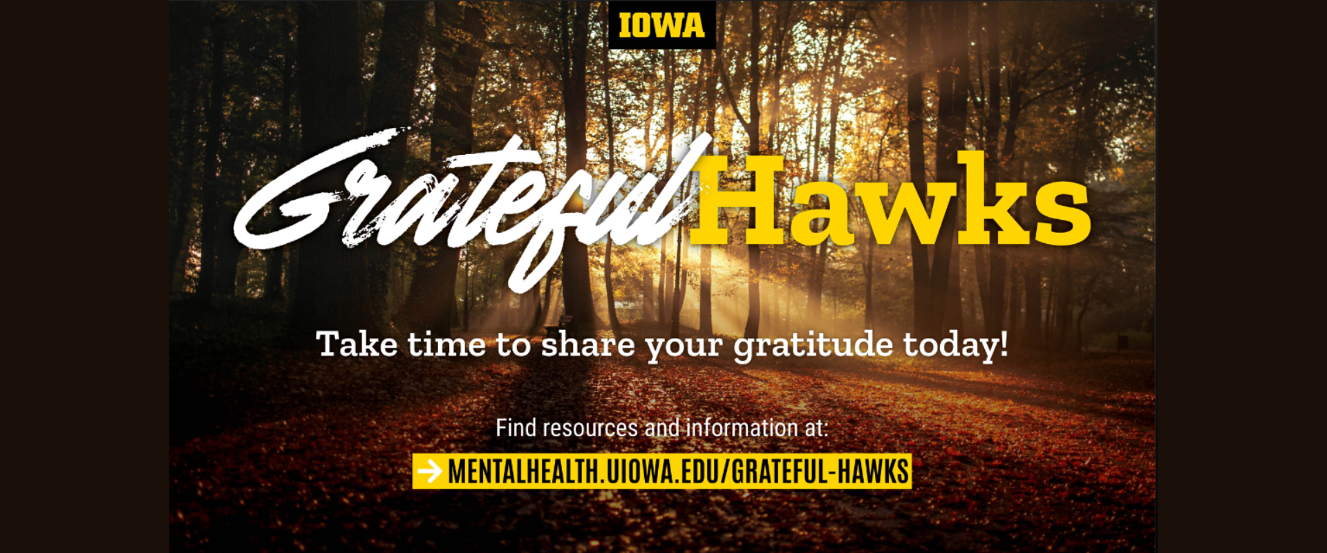 grateful hawks resources