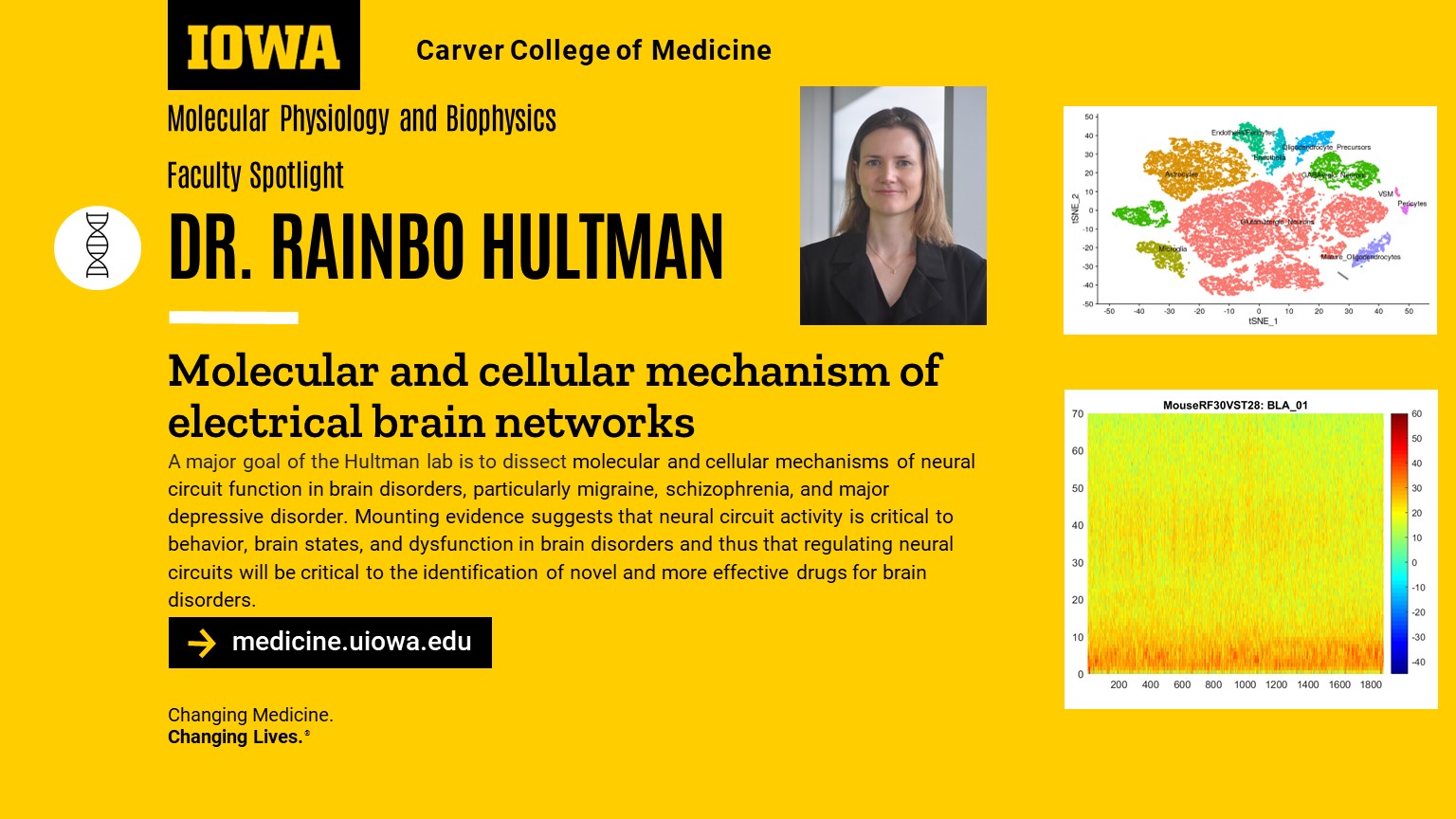 Hultman Research slide