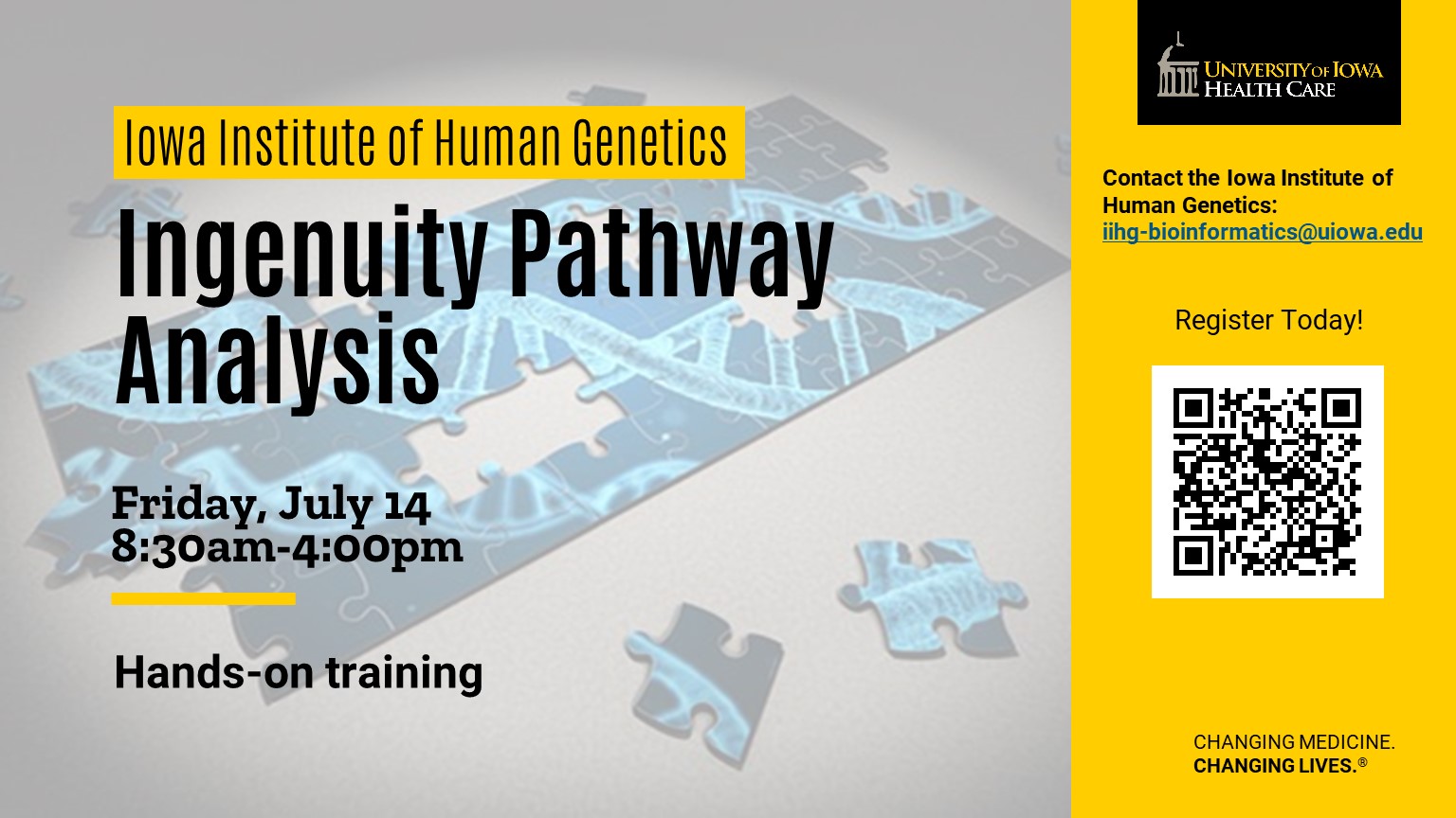 Inegenuity Pathway Analysis July 2023