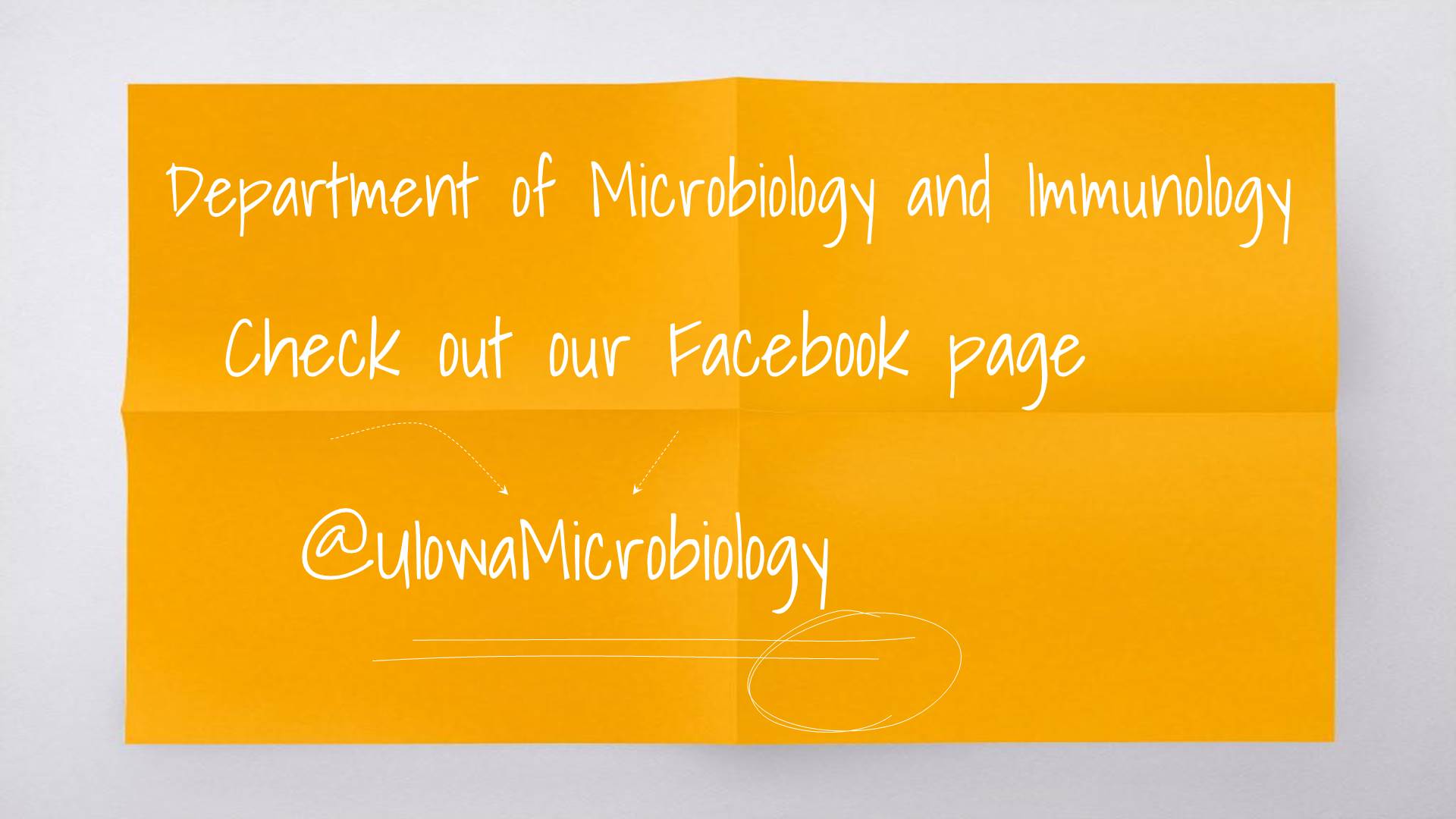 Facebook Microbiology and Immunology