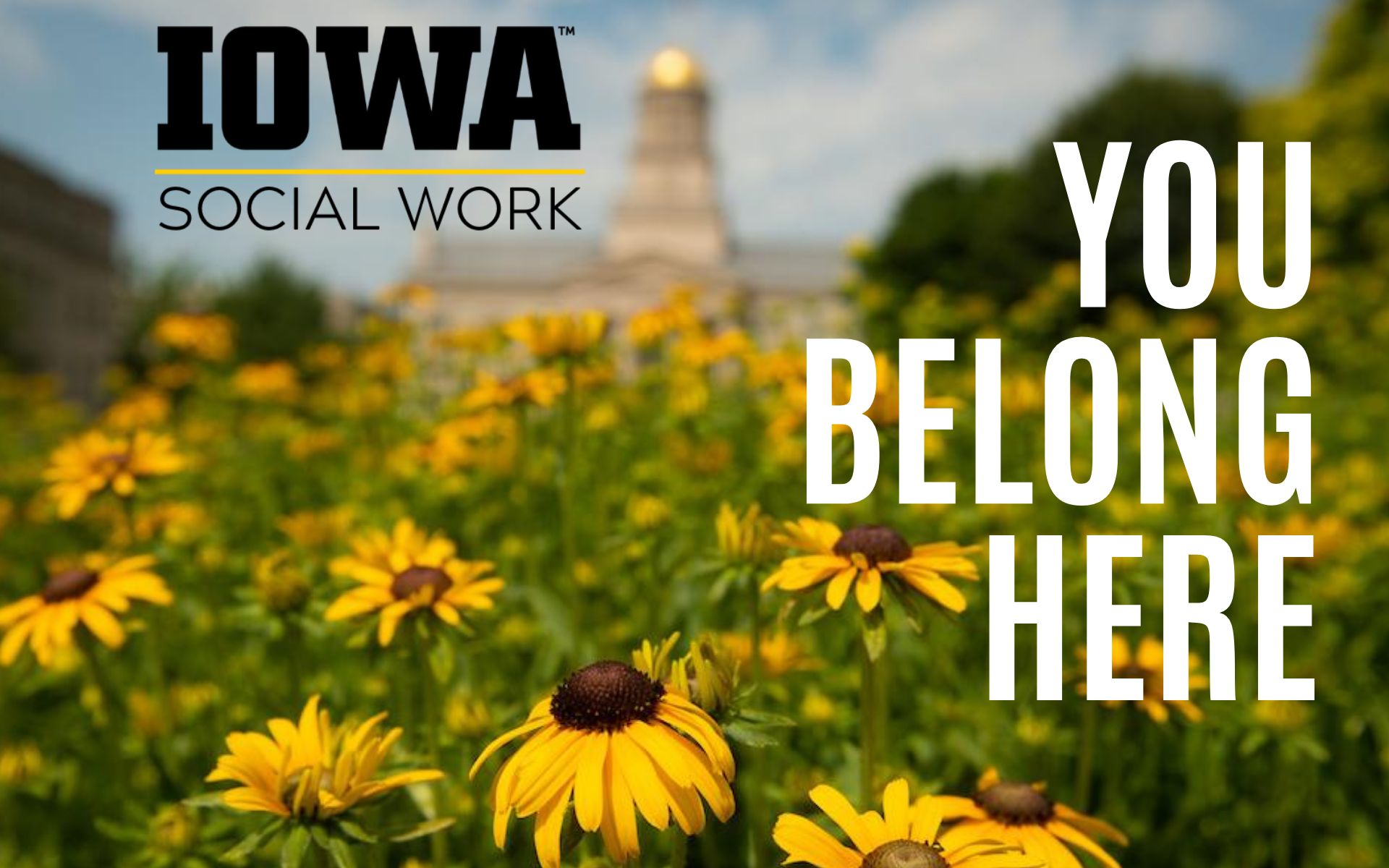 You belong here. Image of black-eyed susan flowers with Old Capitol in background.