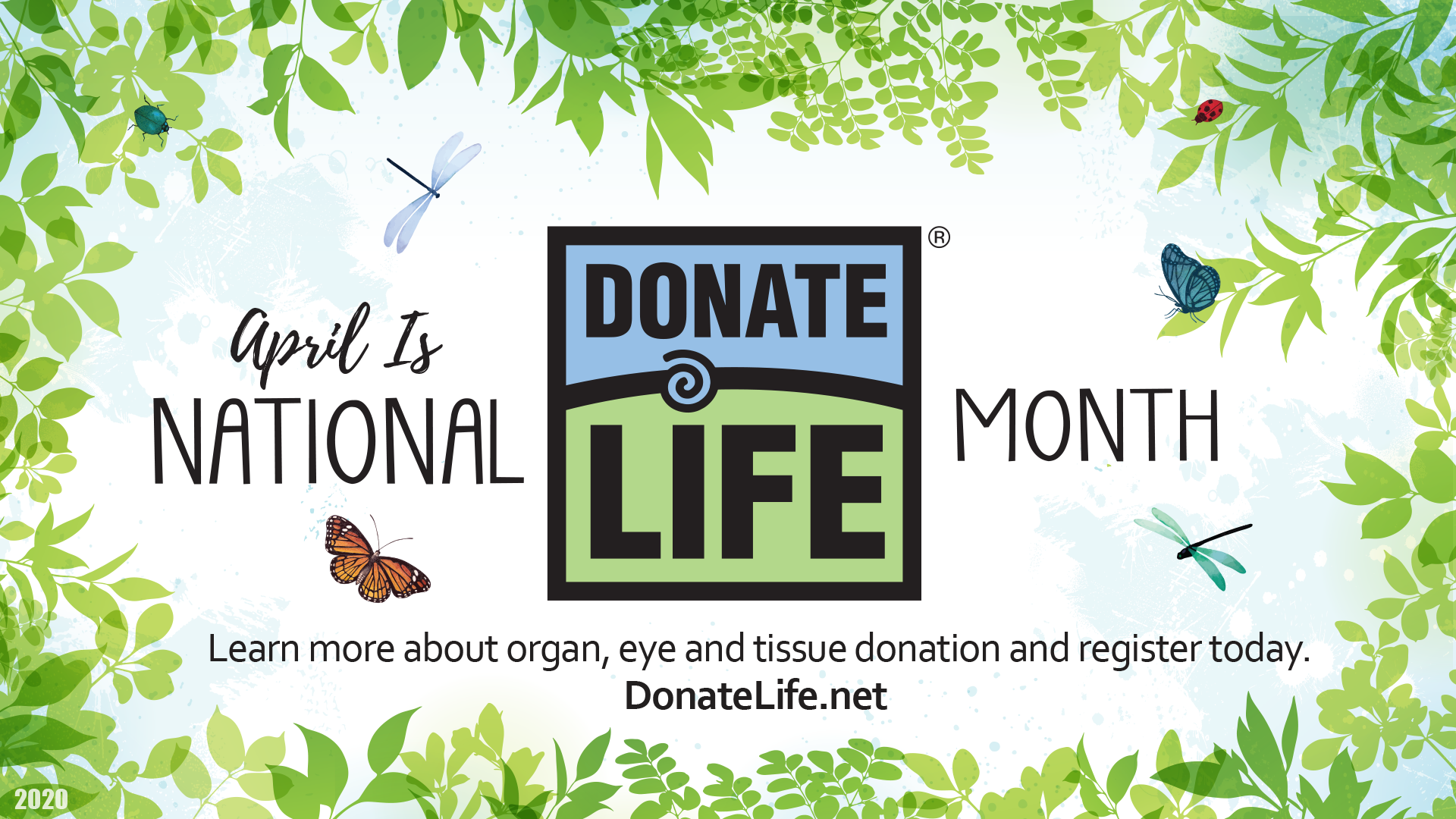Donate Life Month
