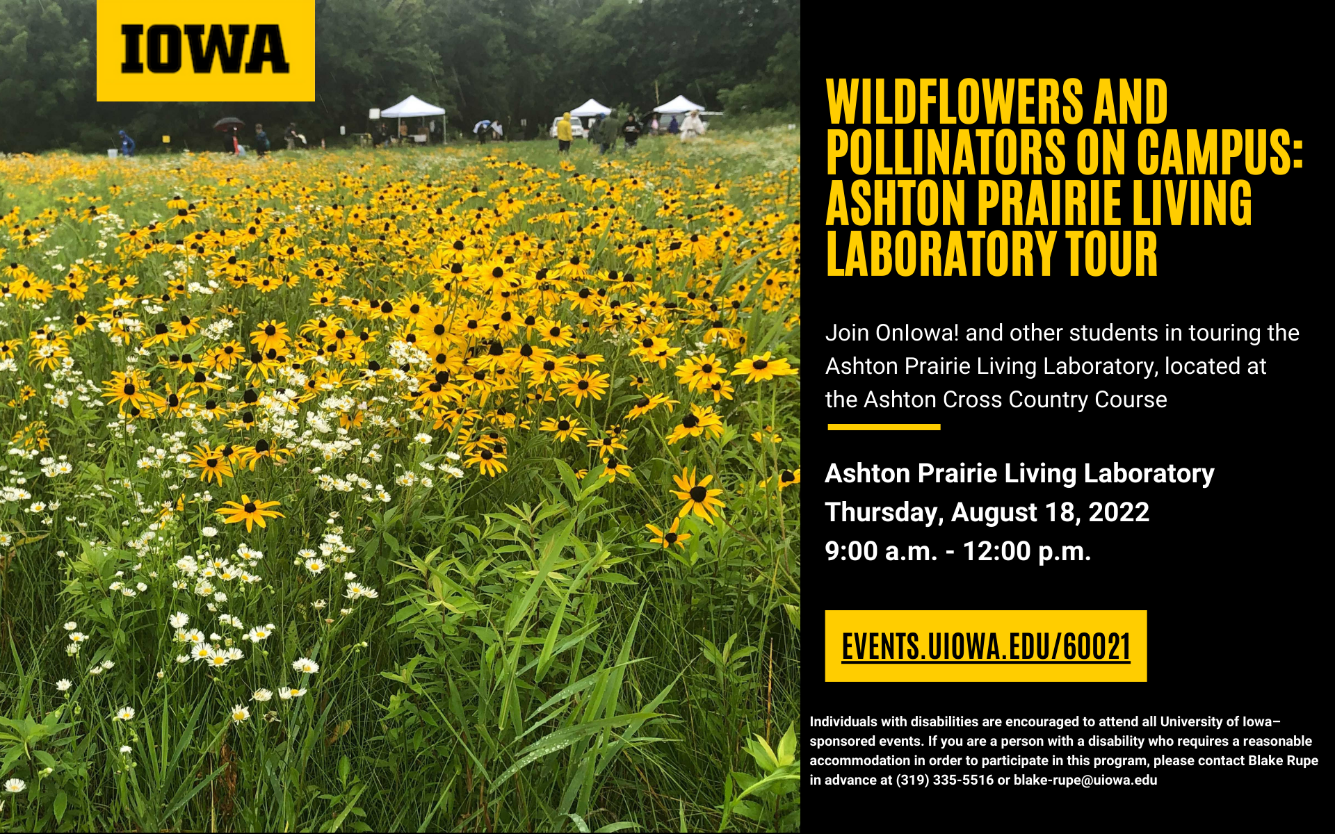 Wildflowers and Pollinators on Campus