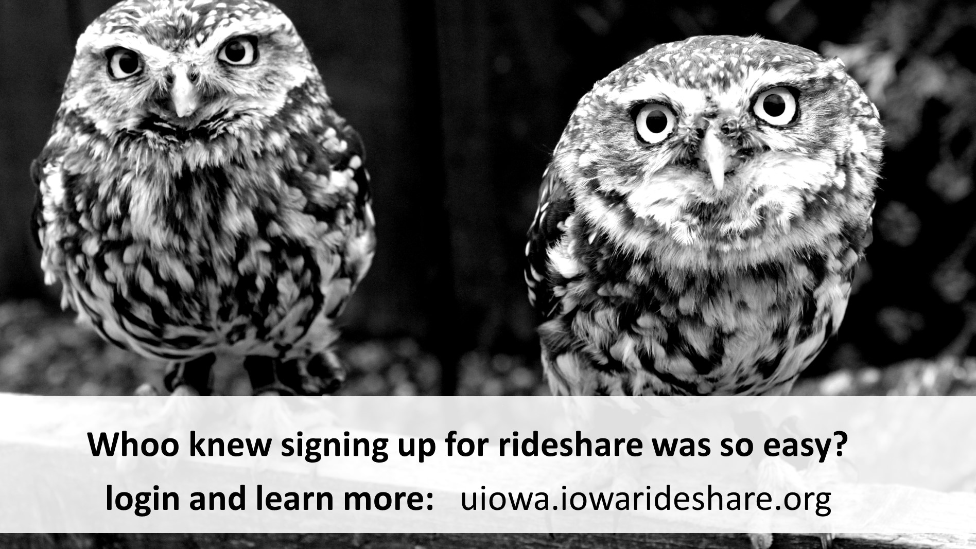 Sign up for UI Ride Share