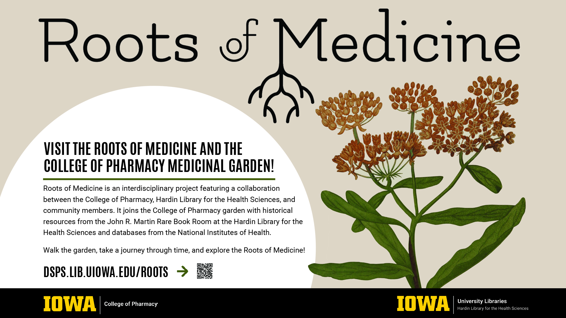 Roots of Medicine