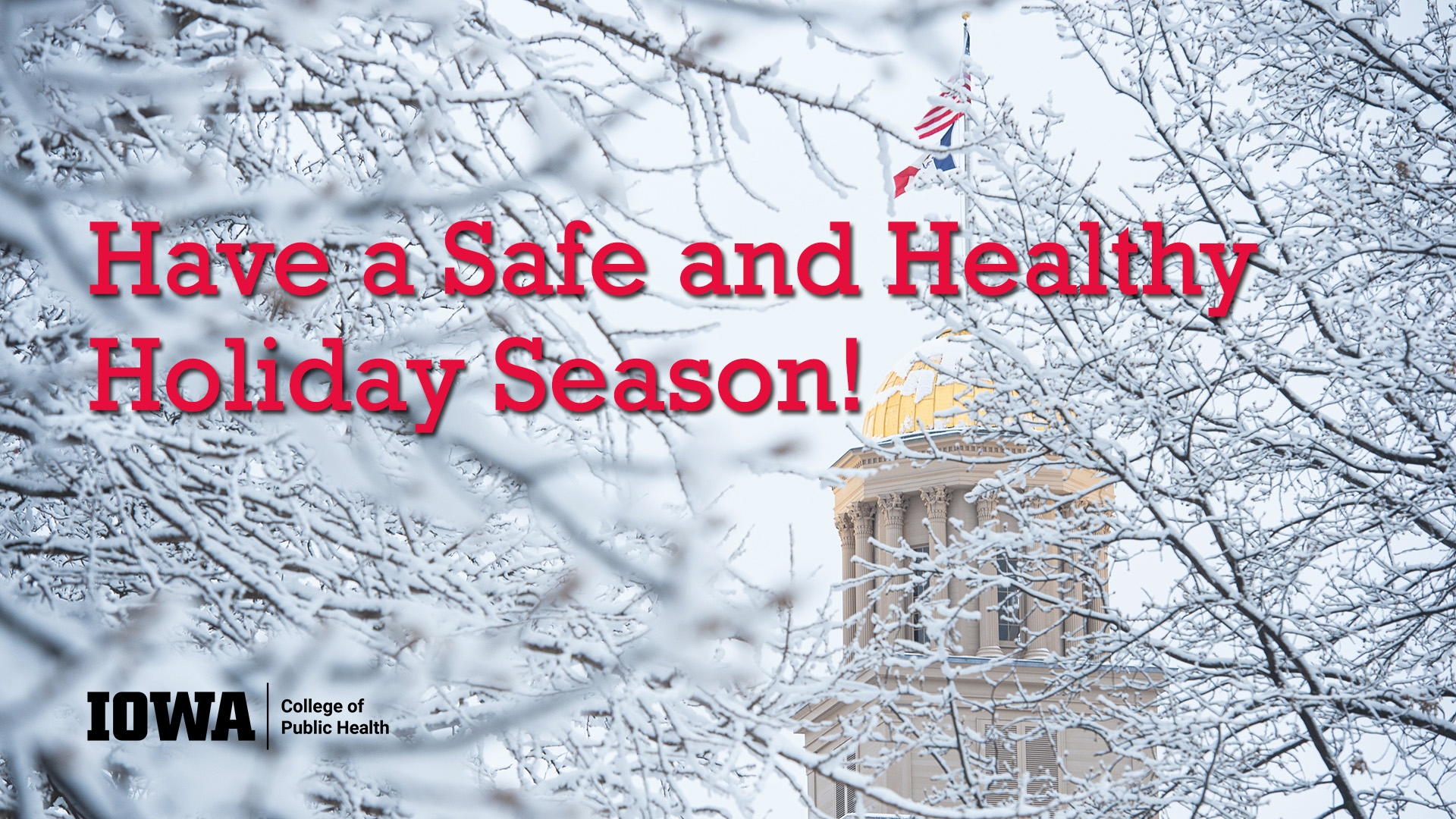 Safe and Healthy Holidays 2020 1-10