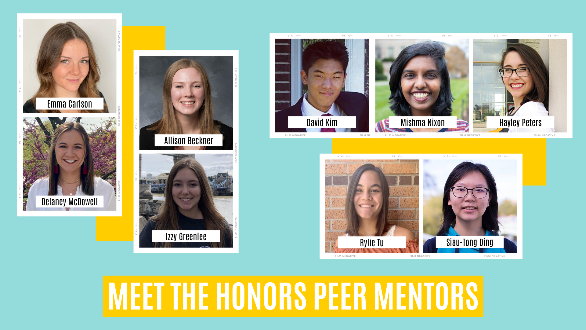 Meet the Honors Peer Mentors