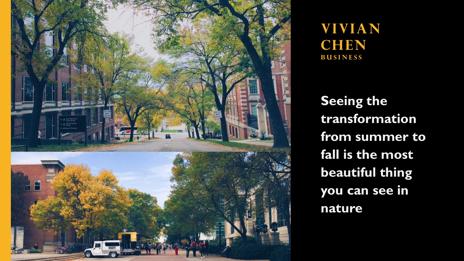 Vivian Chen. Business. Seeing the transformation from summer to fall is the most beautiful thing you can see in nature.