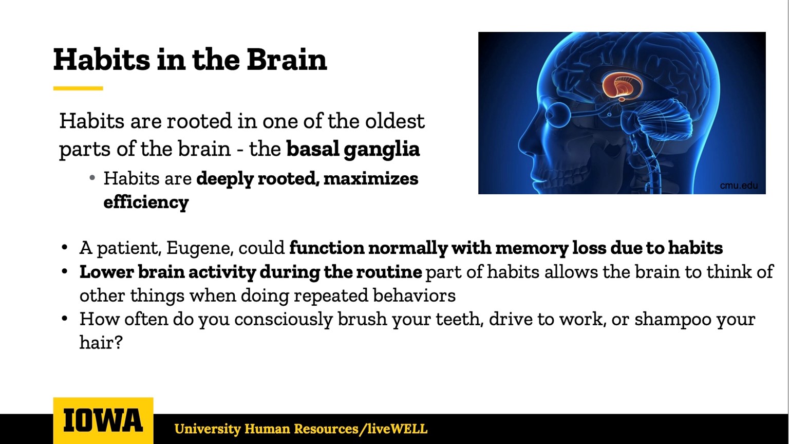 Habits in the Brain
