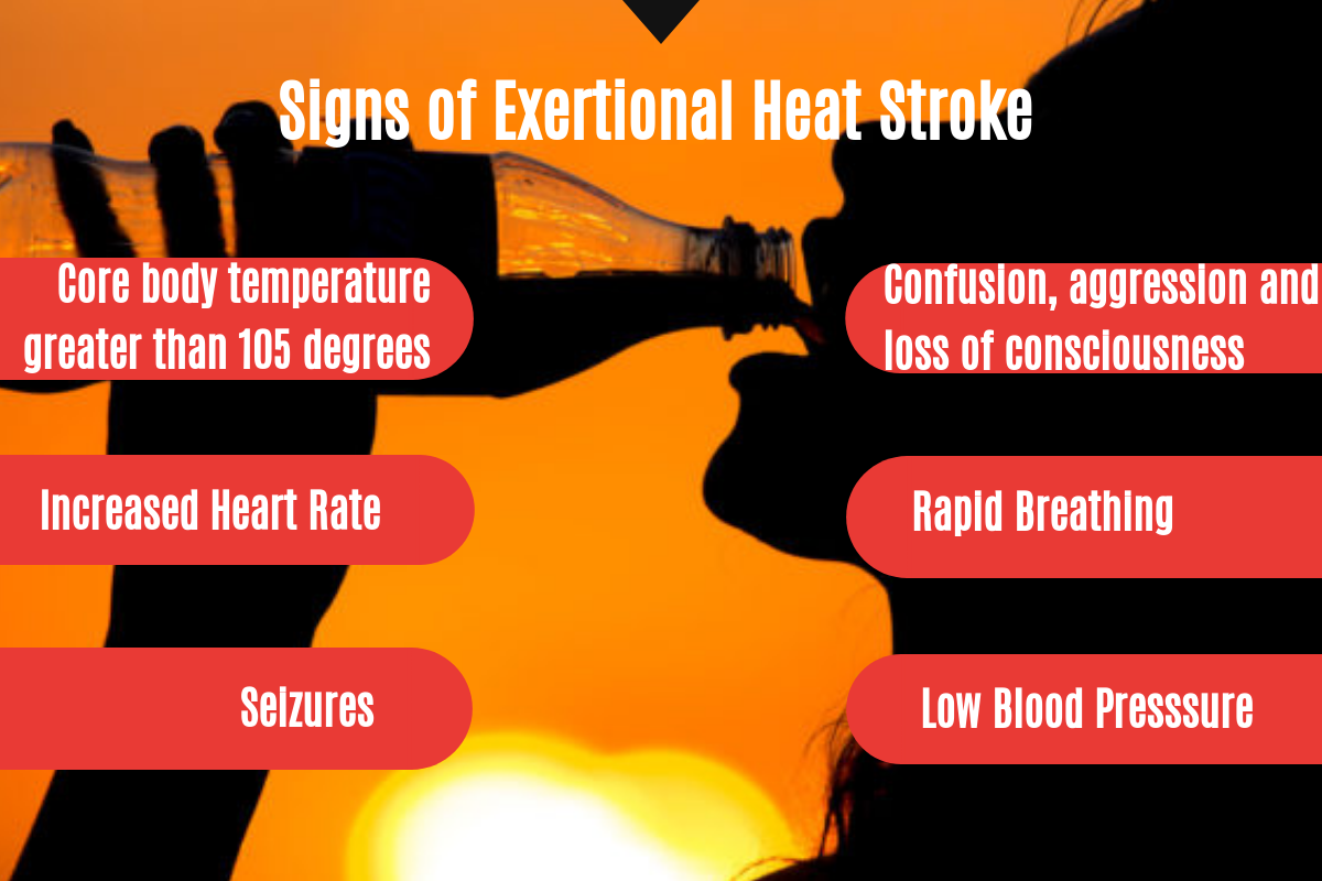 signs of heat stroke