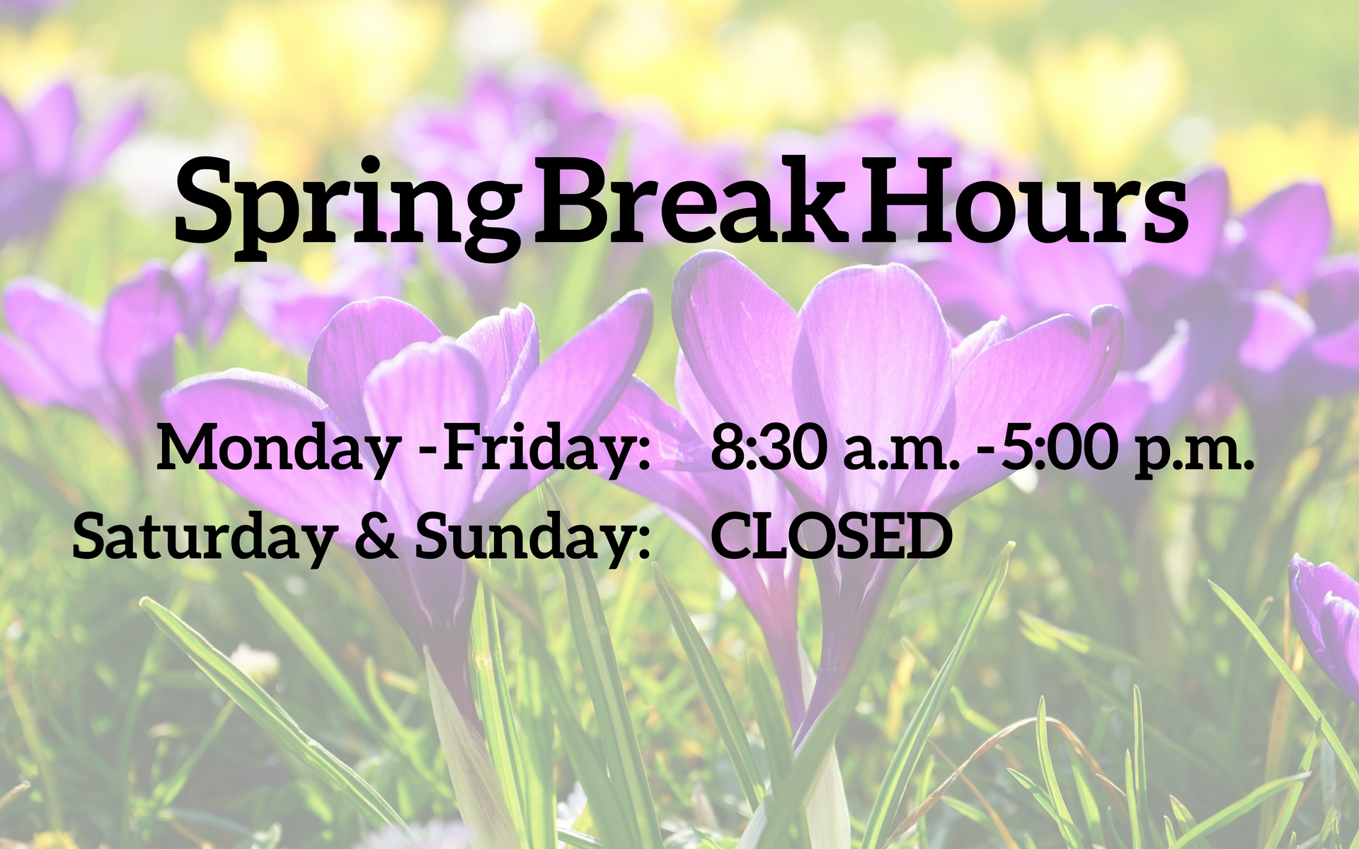 Spring Break Hours