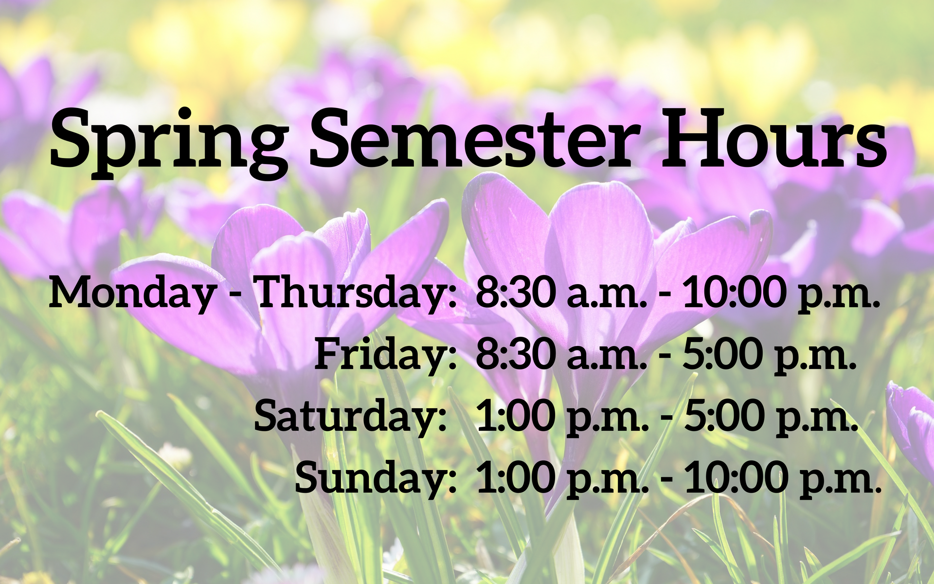 Spring Semester Hours