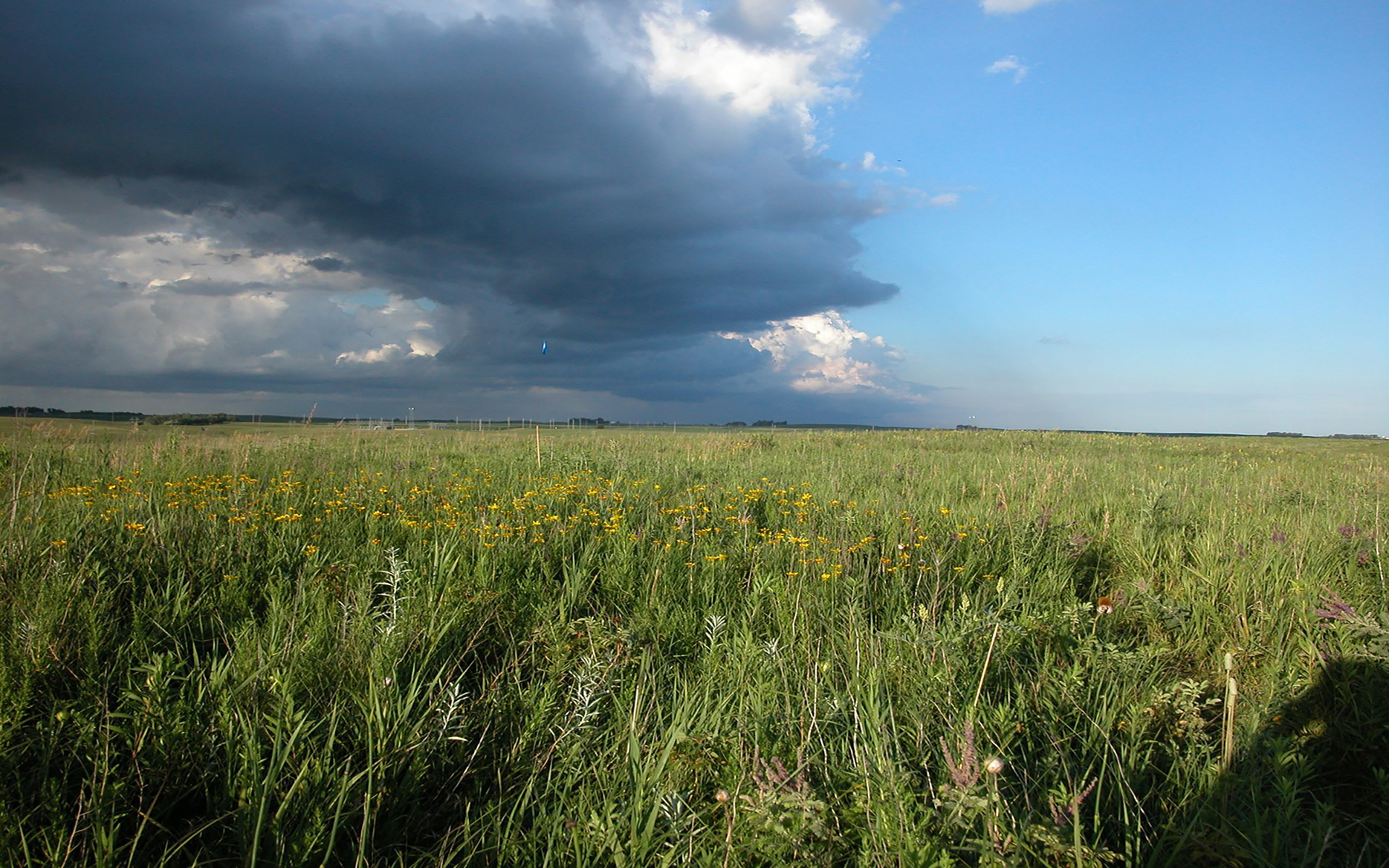 Prairie Storm Front image