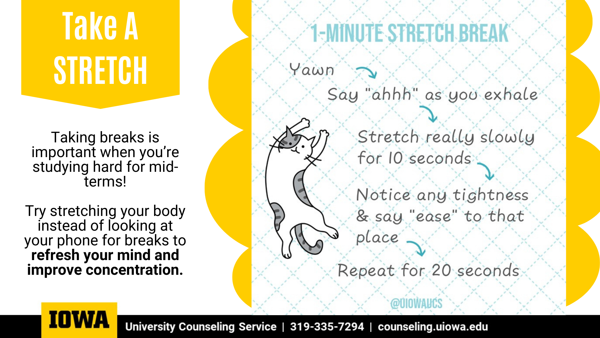 1-min stretch break