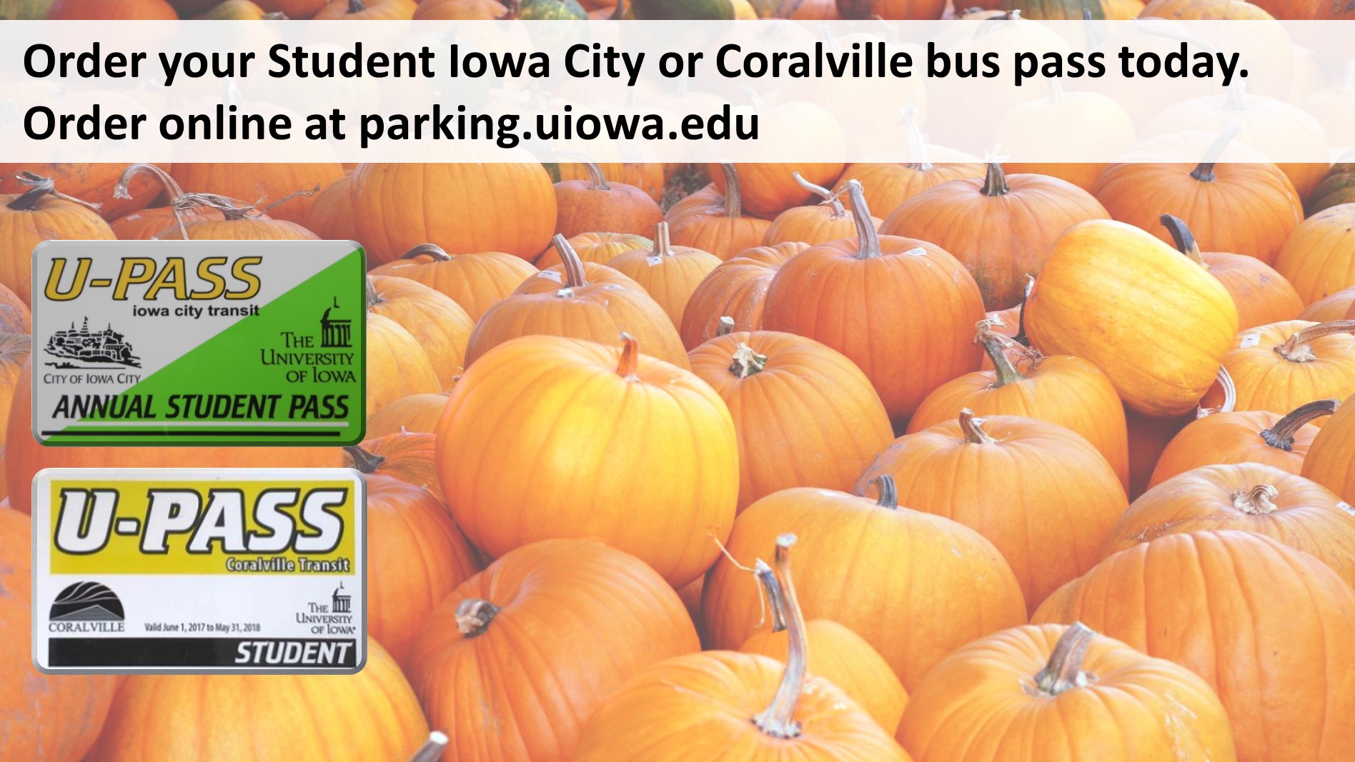 Get student bus passes online