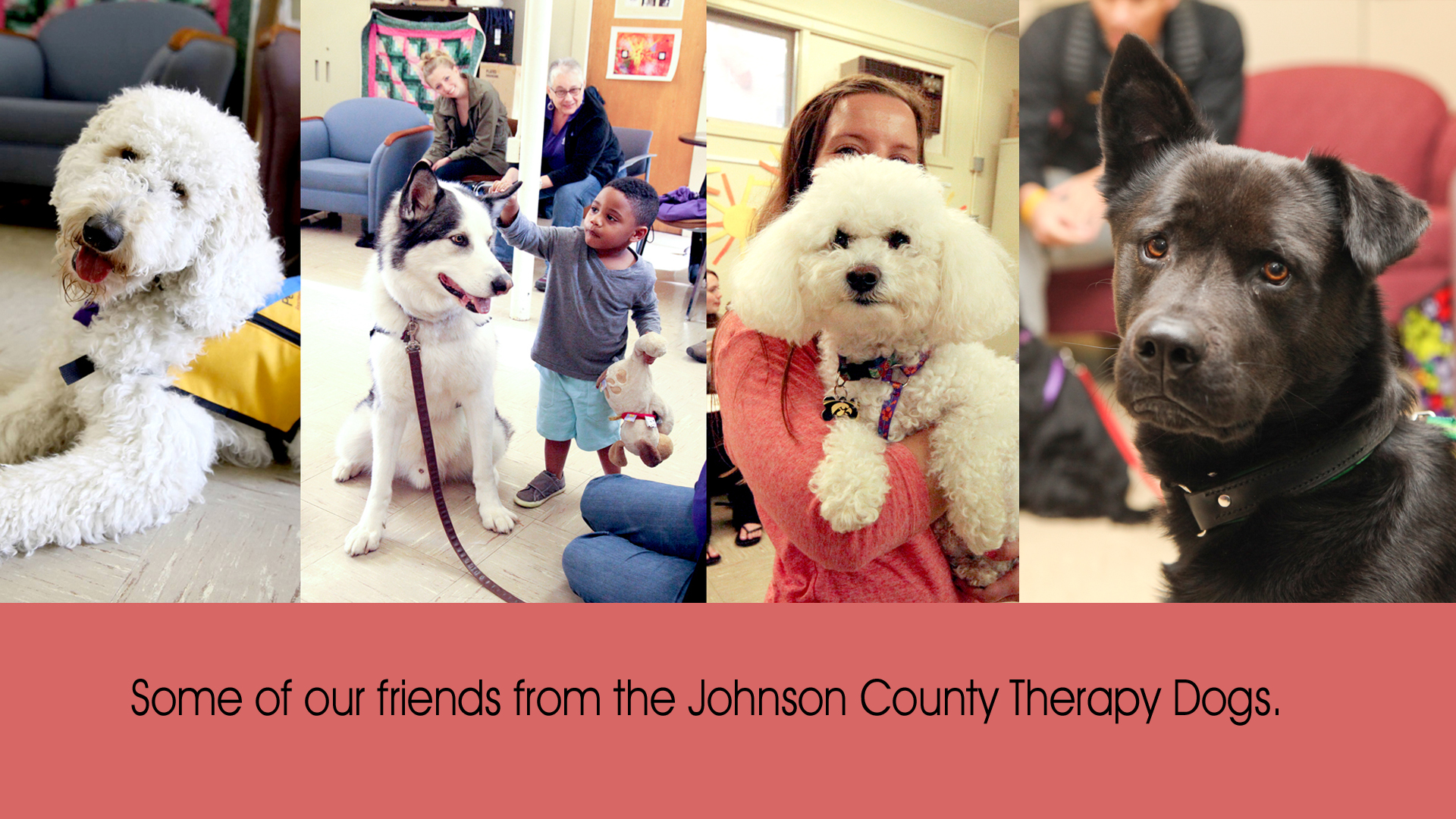 Therapy Dogs of Johnson County visit WRAC