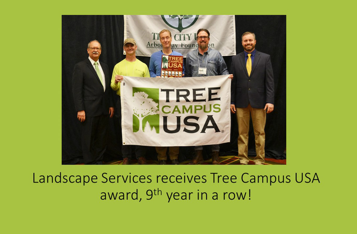 Tree Campus USA Award