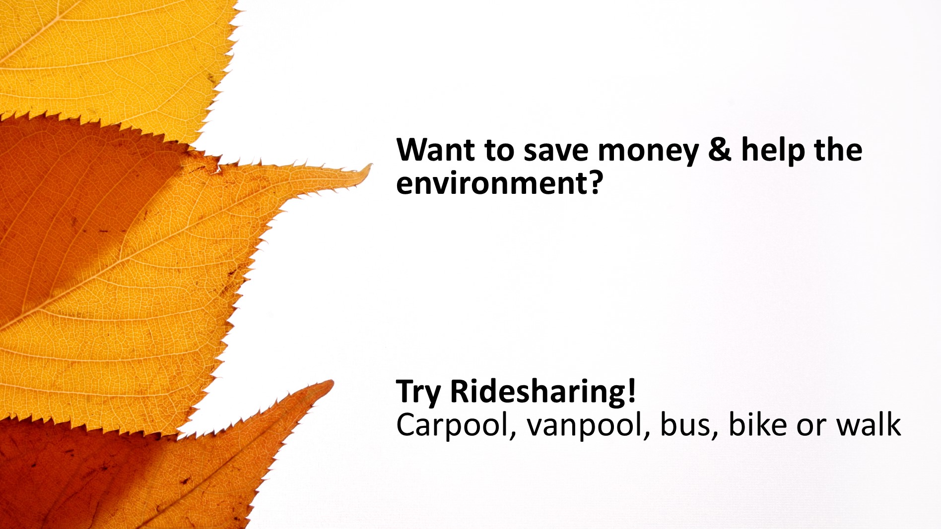 Try ridesharing