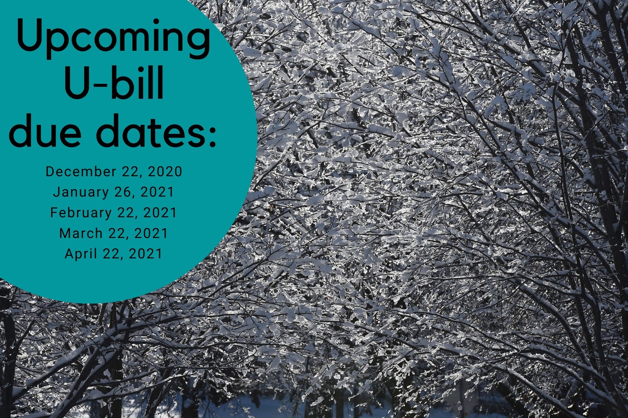 U-bill due dates