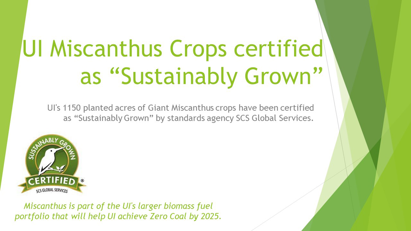 Miscanthus Crops Certified