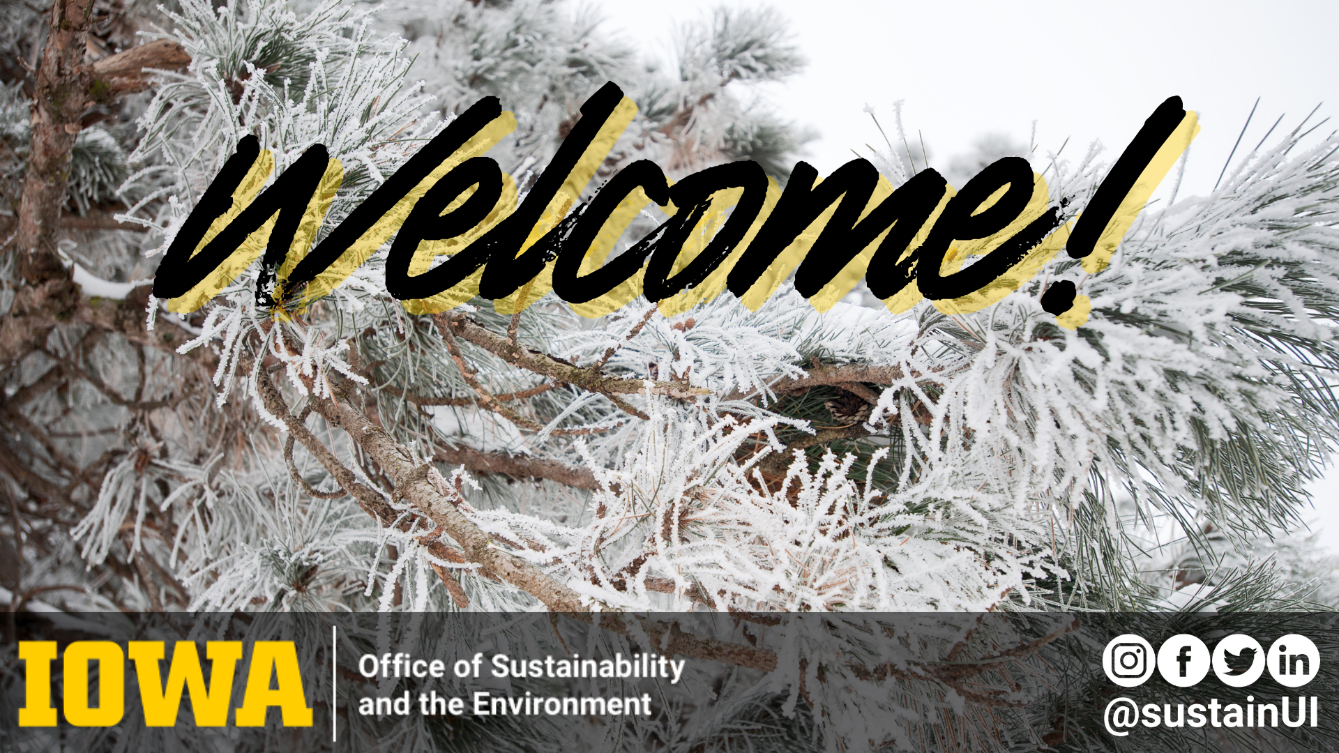 Welcome to the Office of Sustainability
