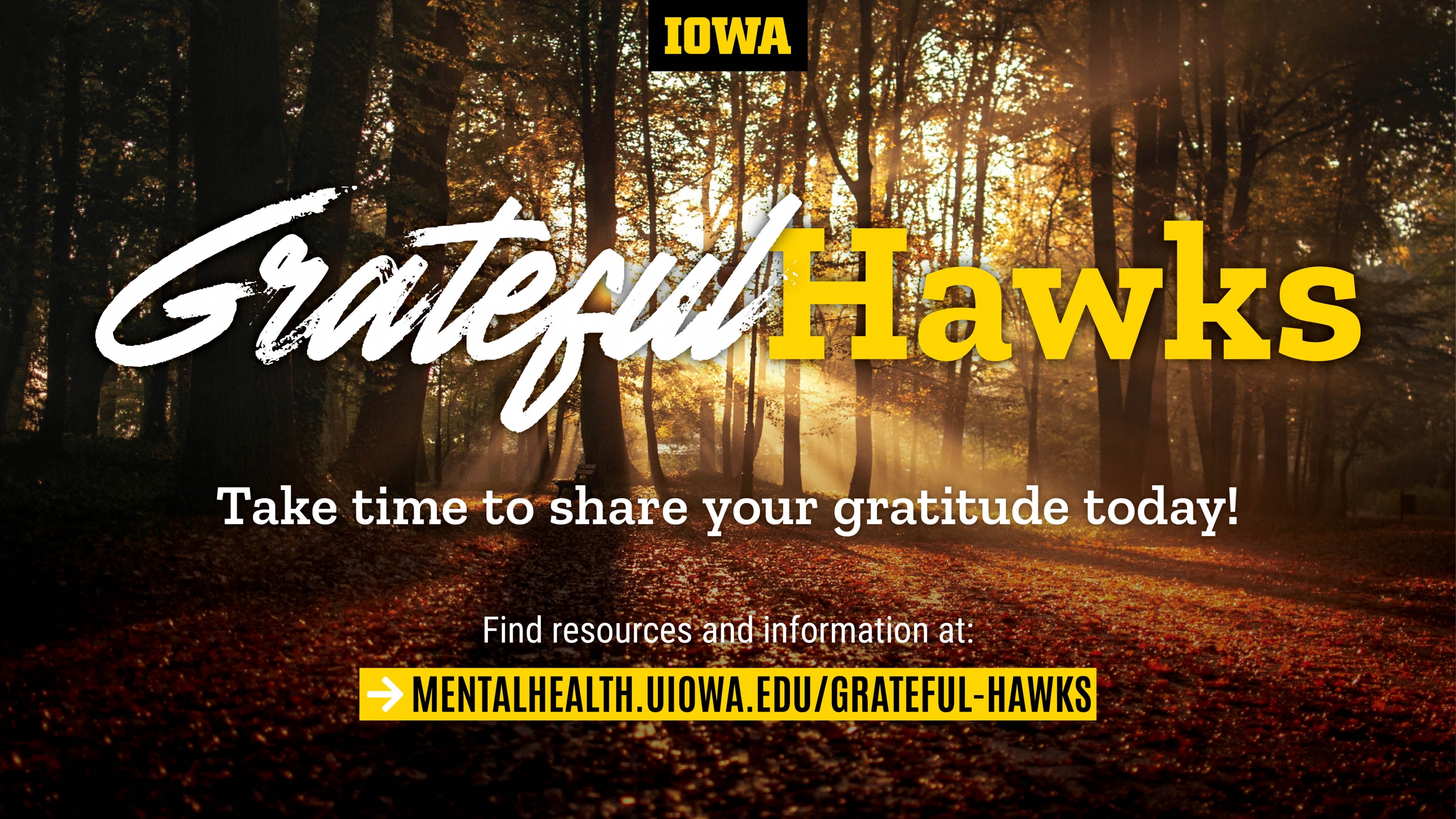 Grateful Hawks. Take time to share your gratitude today! Find resources and information at: mentalhealth.uiowa.edu/grateful-hawks