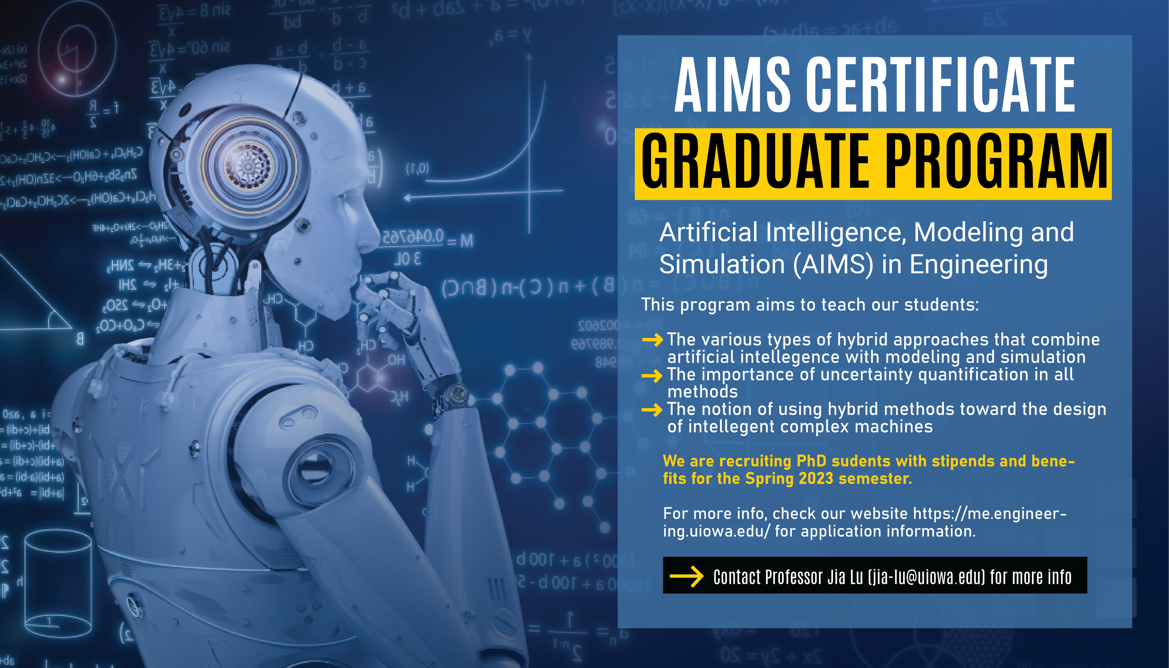 A look at the AIMS Graduate Certificate that is offered here at the University of Iowa